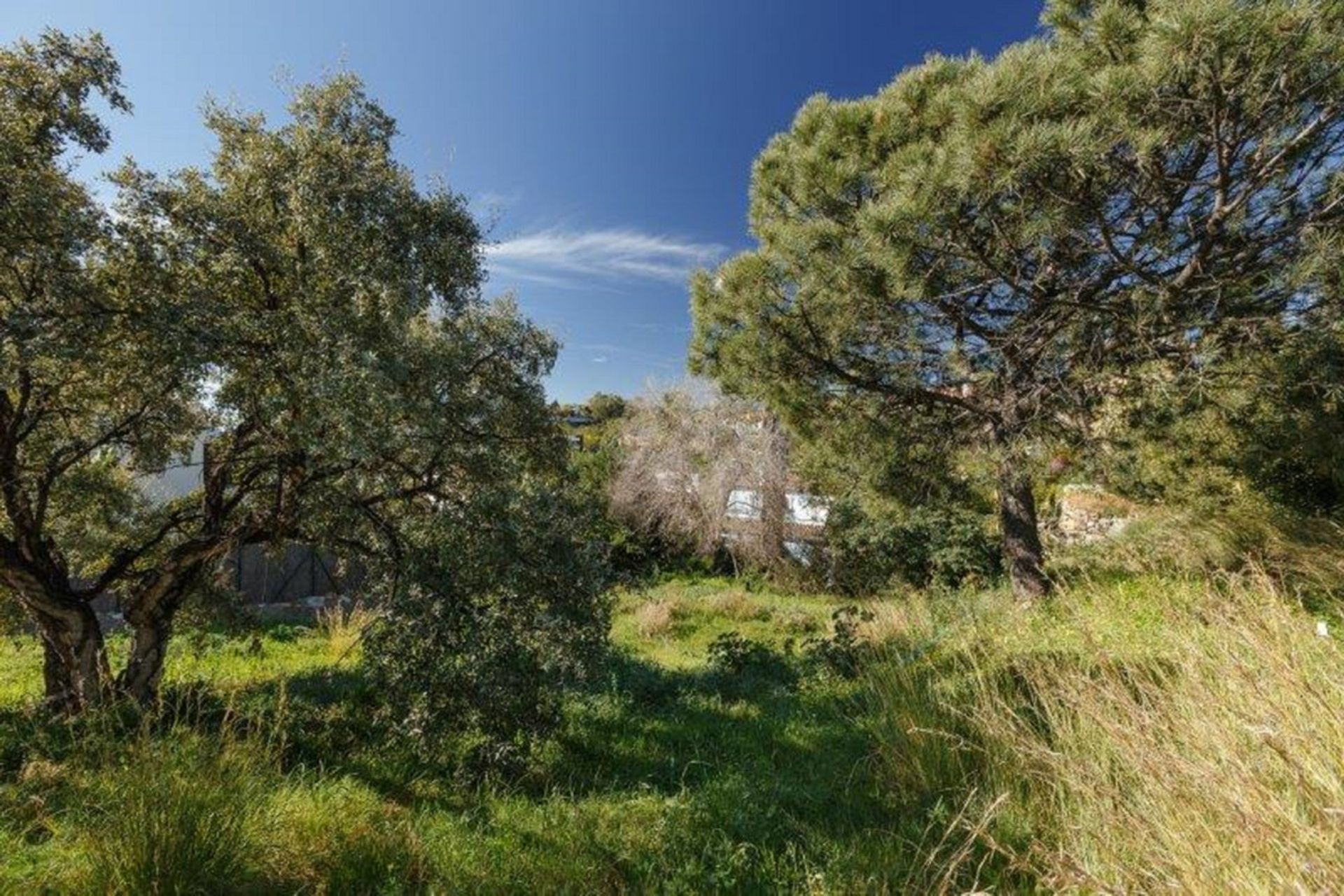 Land in Benahavis, Andalusië 10197160