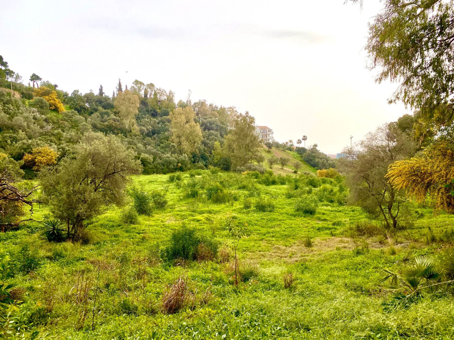 Land i Benahavis, Andalusia 10197173