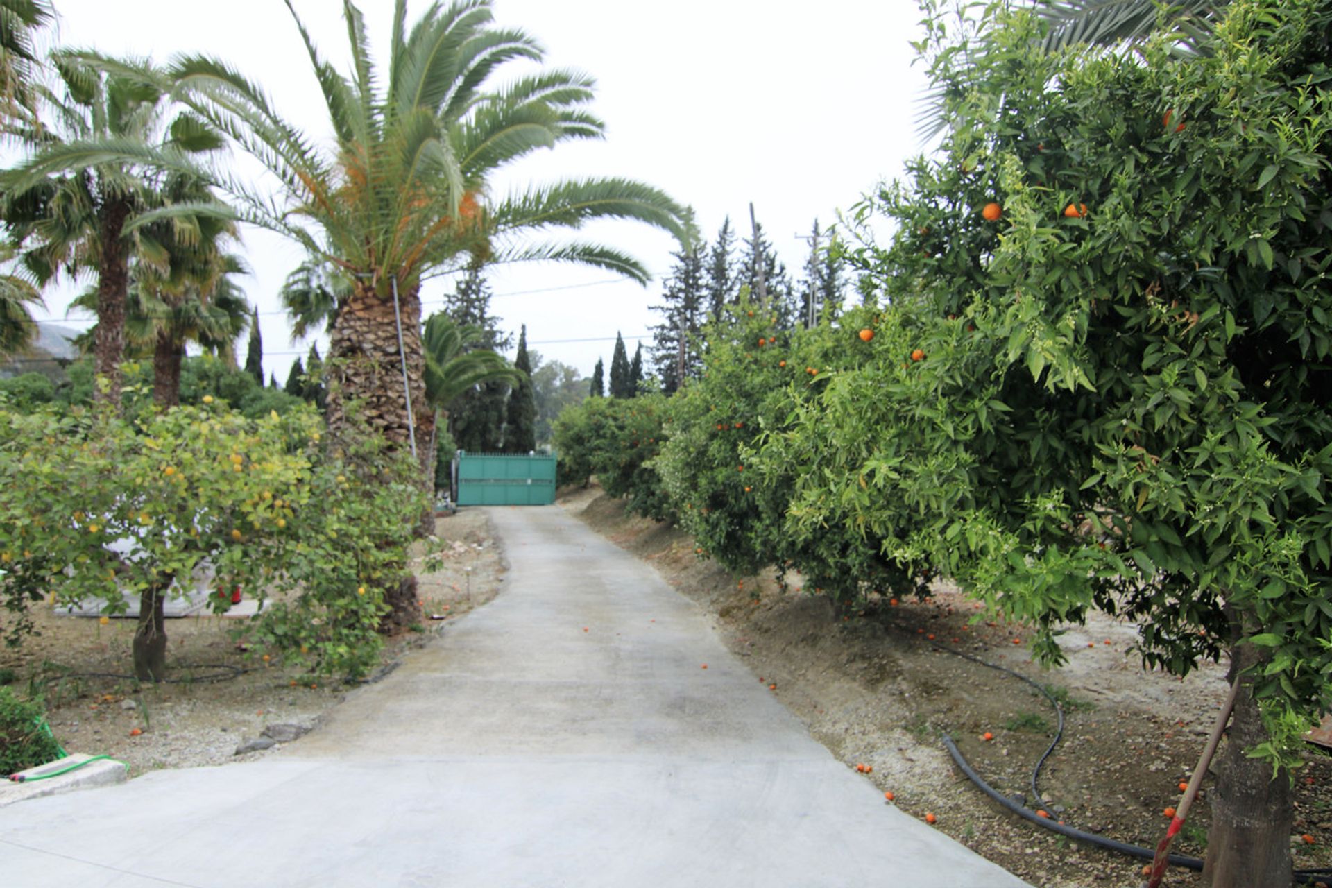 Dom w Cártama, Andalucía 10197844