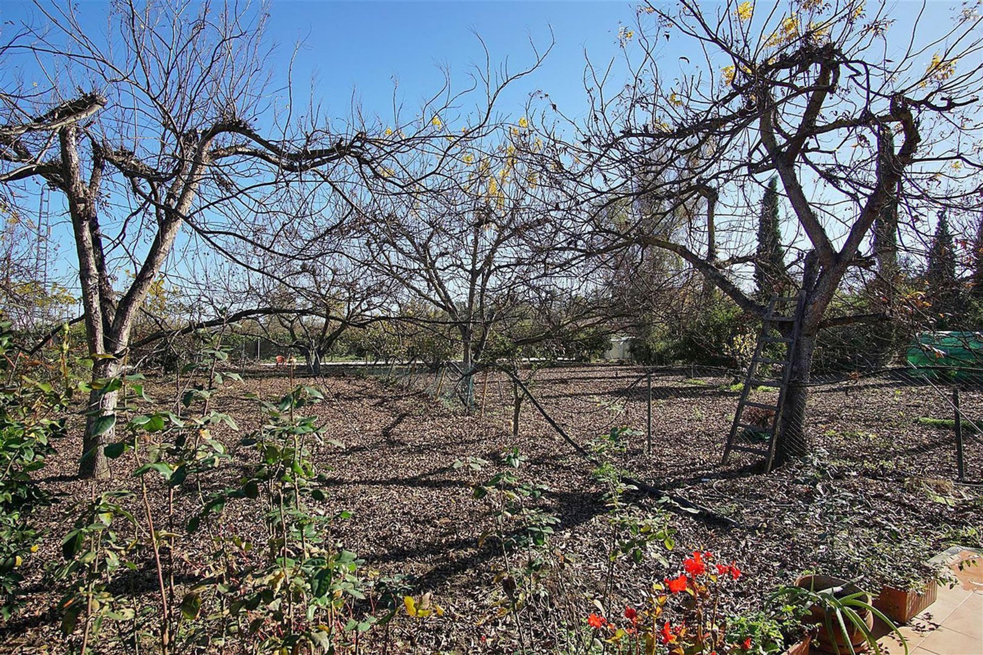 Rumah di , Andalucía 10197938