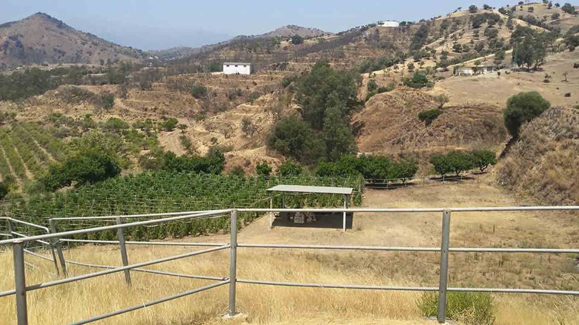 House in Coin, Andalusia 10197942