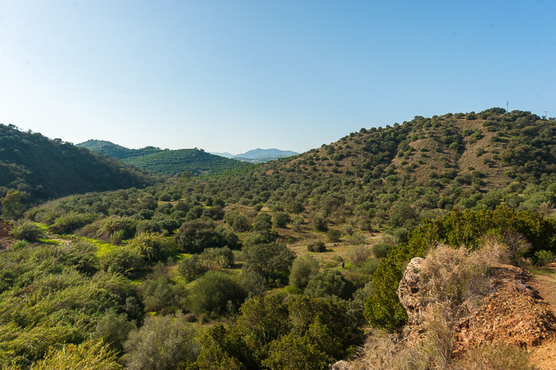 Land im Coín, Andalusia 10197984