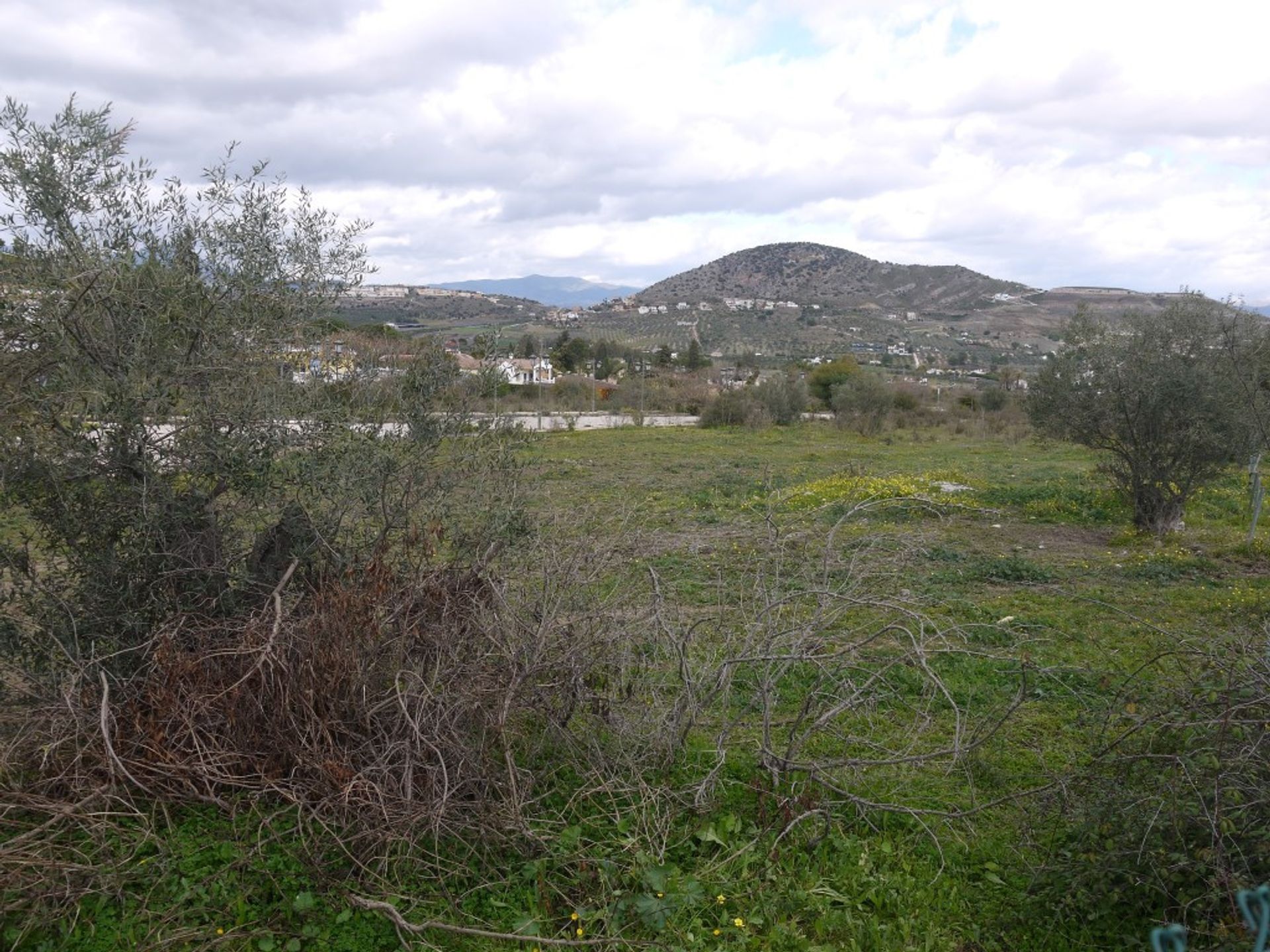 Tanah dalam , Andalucía 10197985