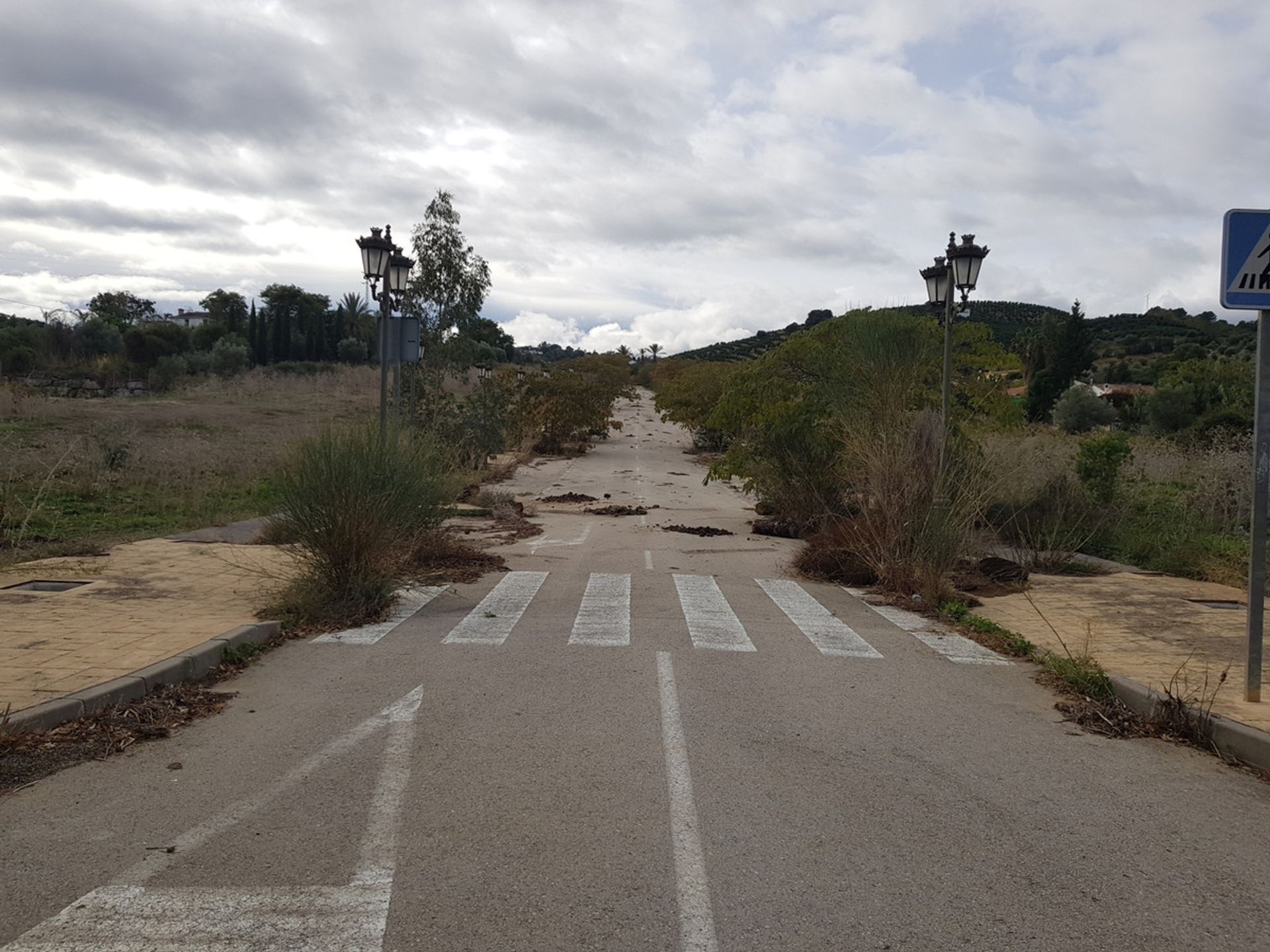 Terra no Moeda, Andaluzia 10197985