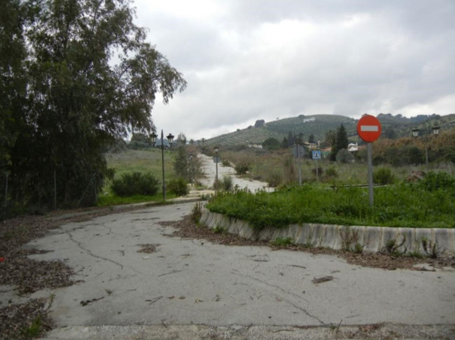 Tanah dalam , Andalucía 10197987