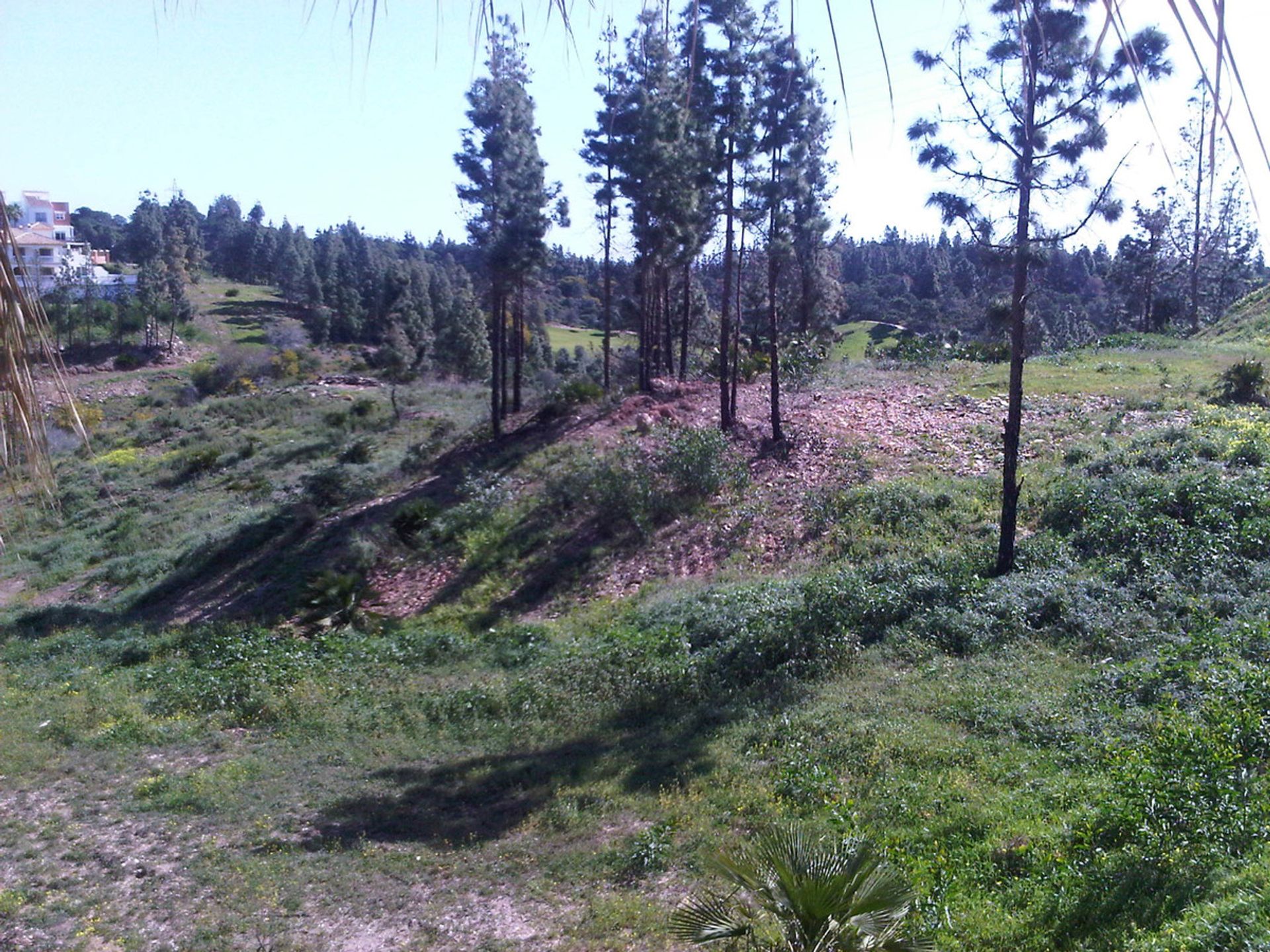 Tierra en Las Lagunas de Mijas, Andalucía 10198034