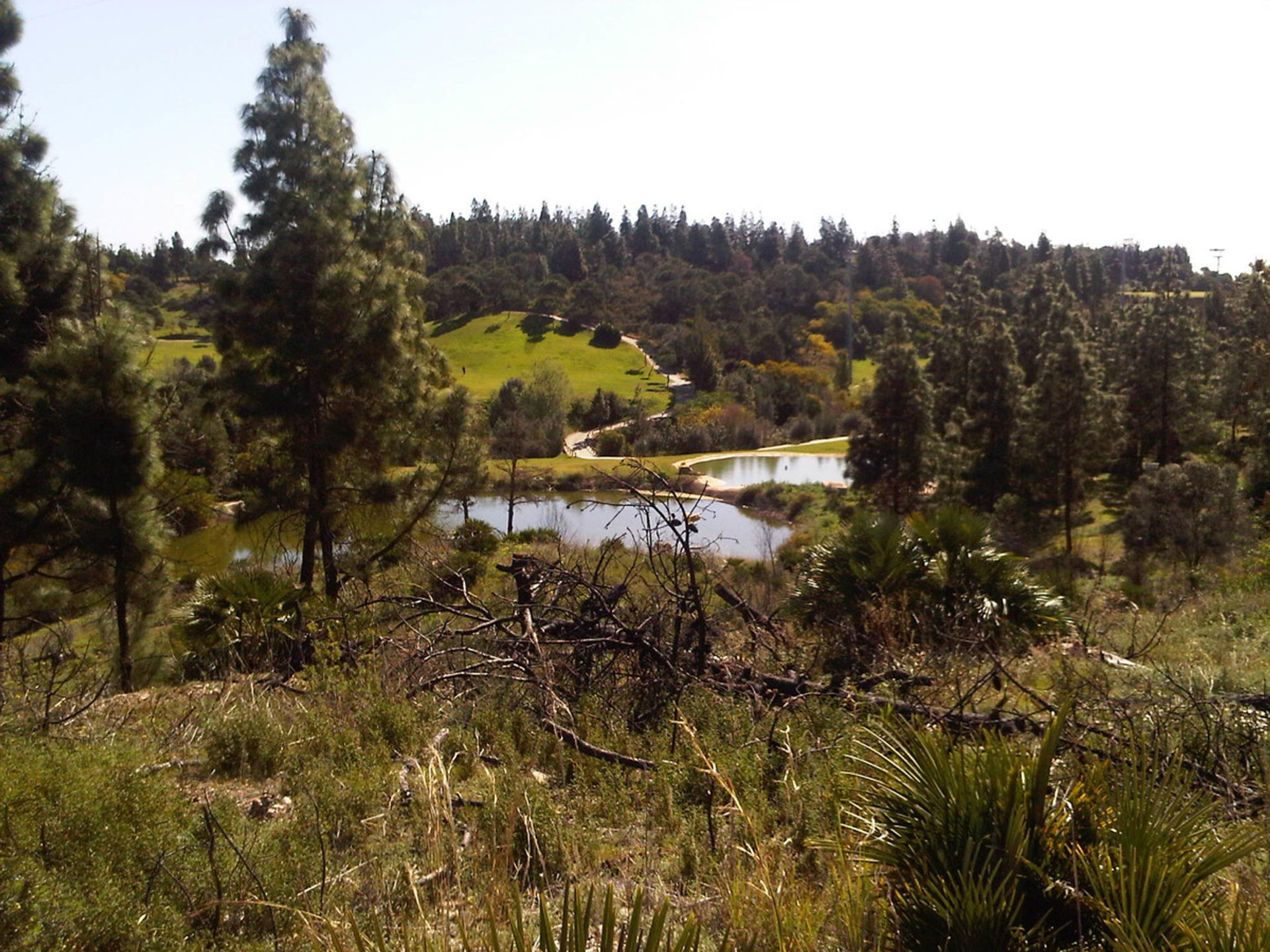 Tierra en Las Lagunas de Mijas, Andalucía 10198034