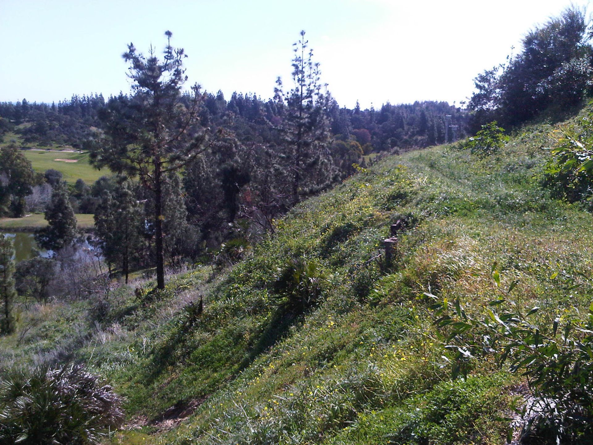 Tierra en Las Lagunas de Mijas, Andalucía 10198034