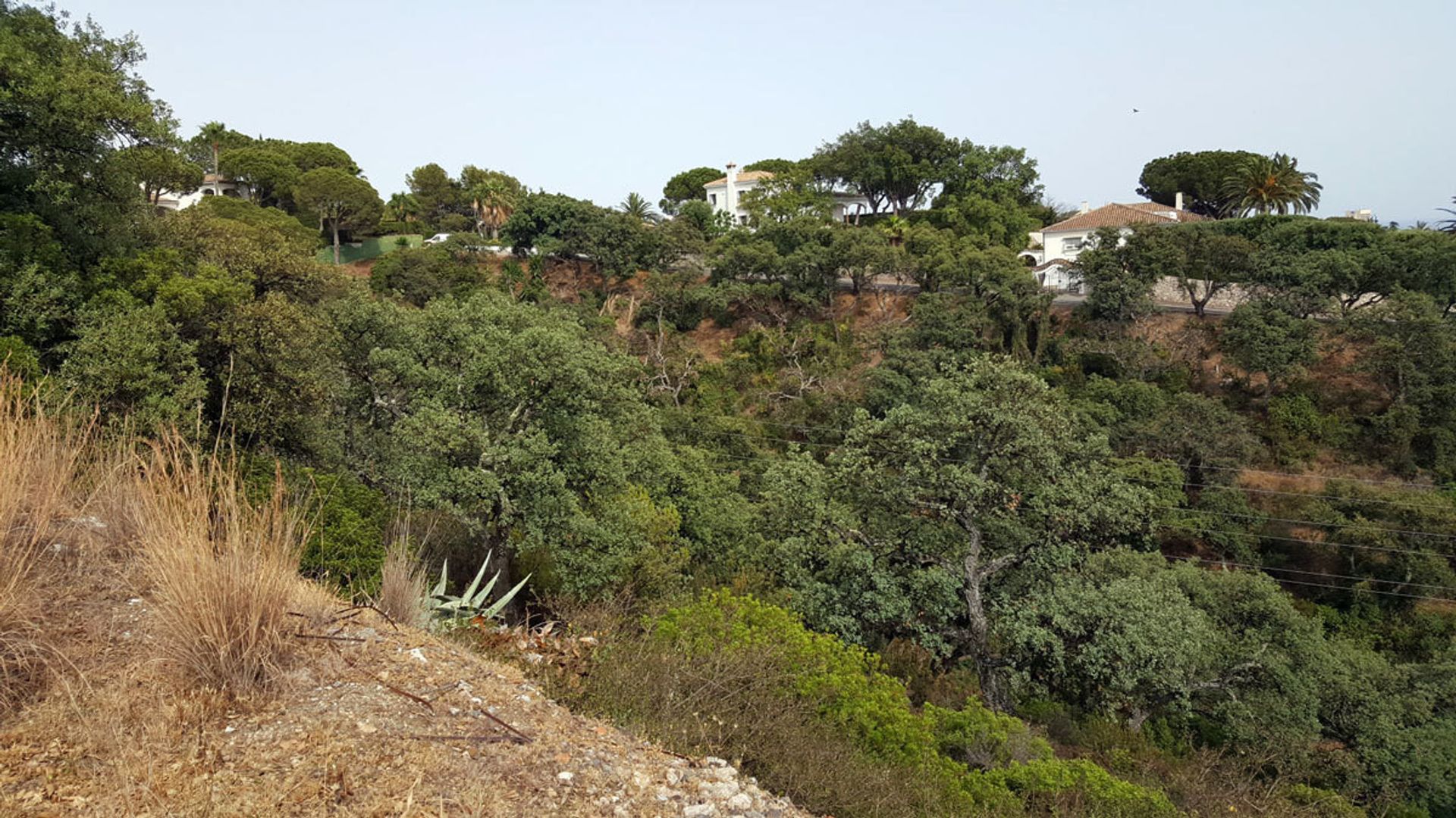 Tanah dalam Ojen, Andalusia 10198265