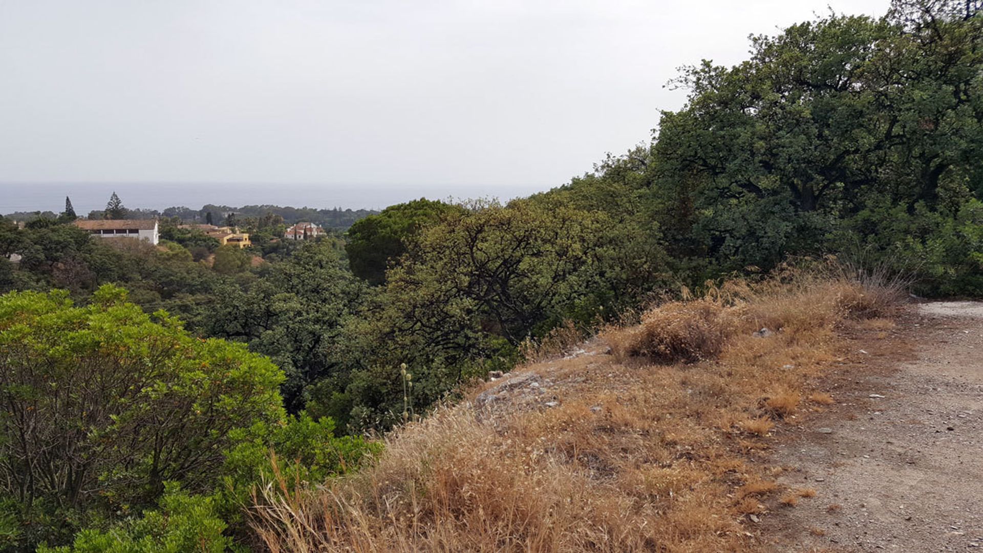 Tanah dalam Ojen, Andalusia 10198265