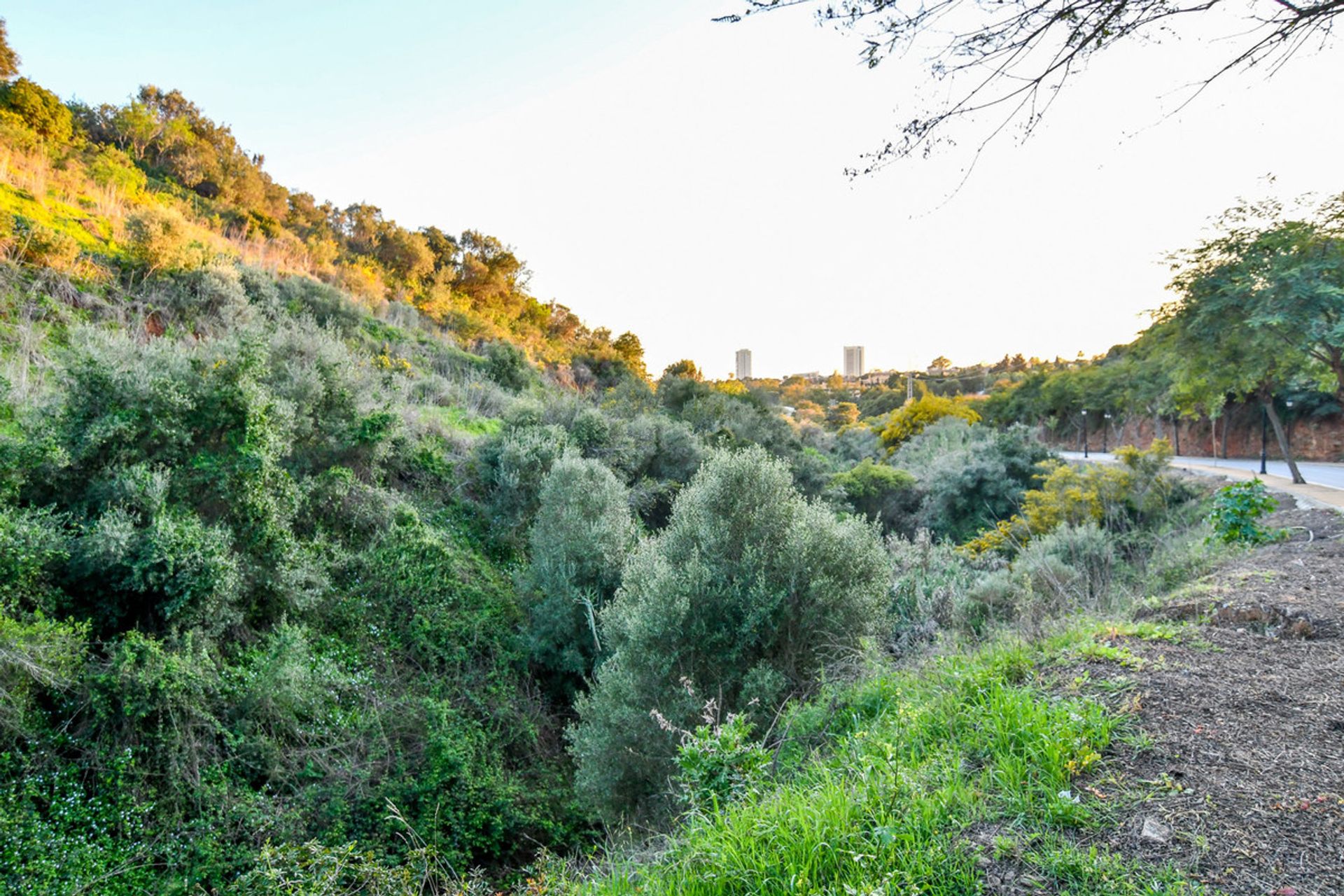 Terra no Marbella, Andalucía 10198271