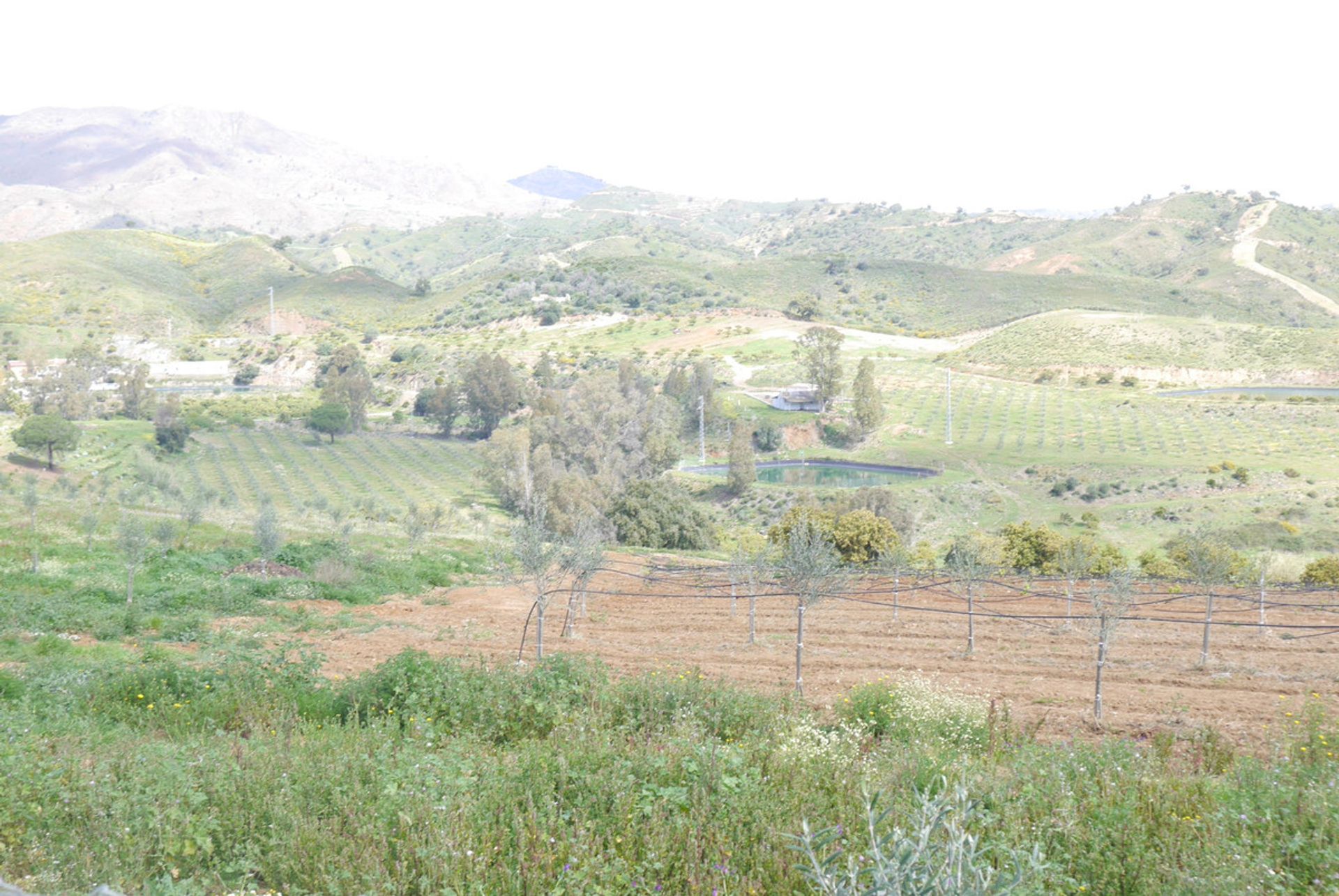 casa no Mijas, Andalucía 10198282