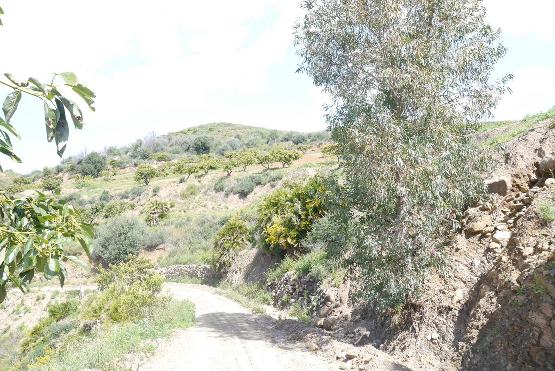 casa no Mijas, Andalucía 10198282