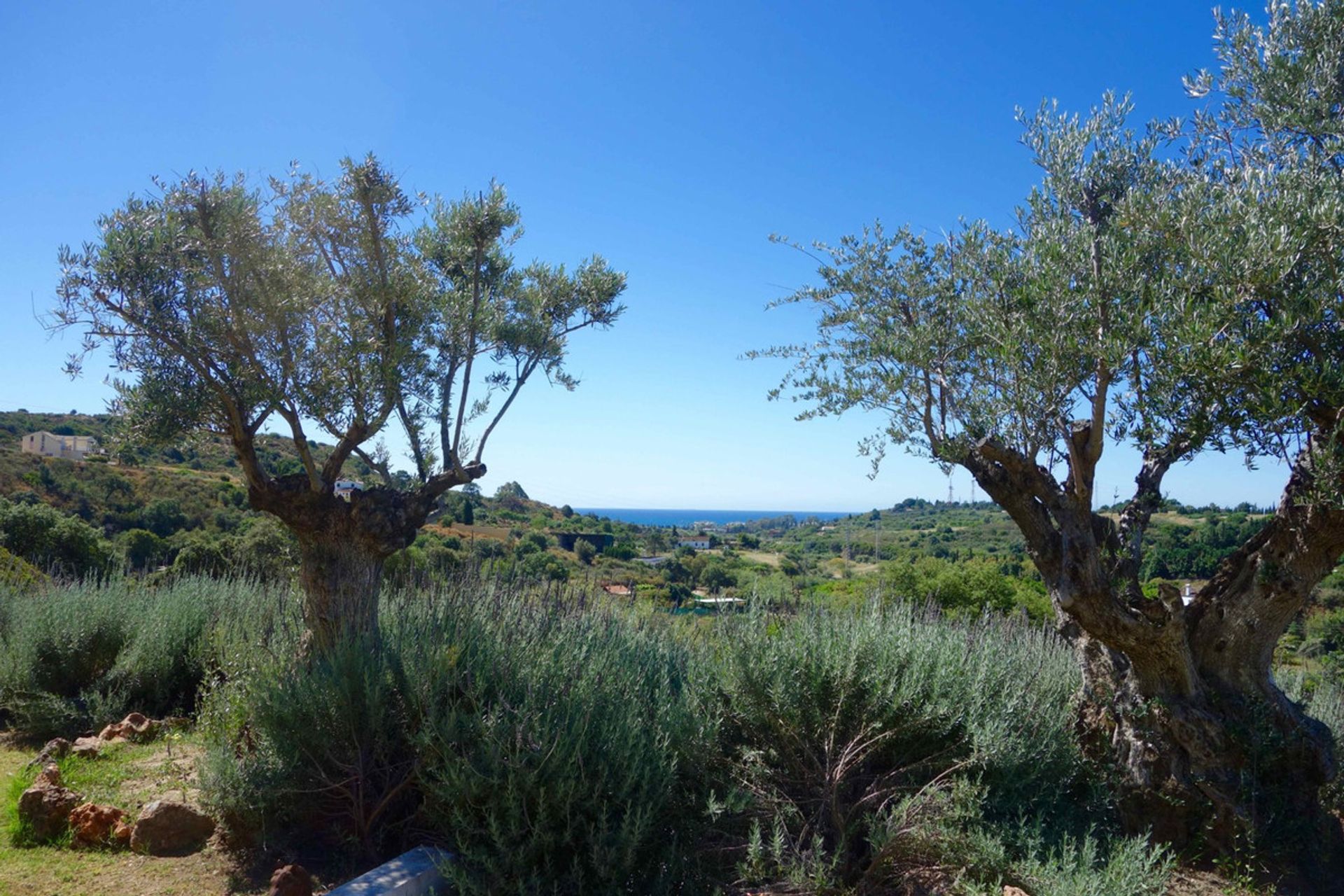 casa en Estepona, Andalucía 10198689