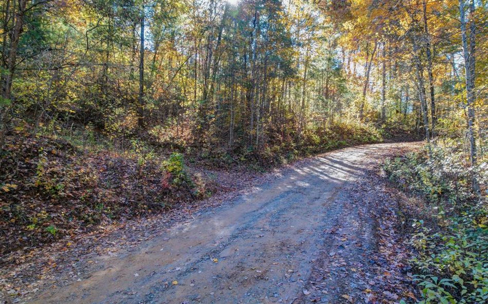 Land im Blue Ridge, Georgia 10198846