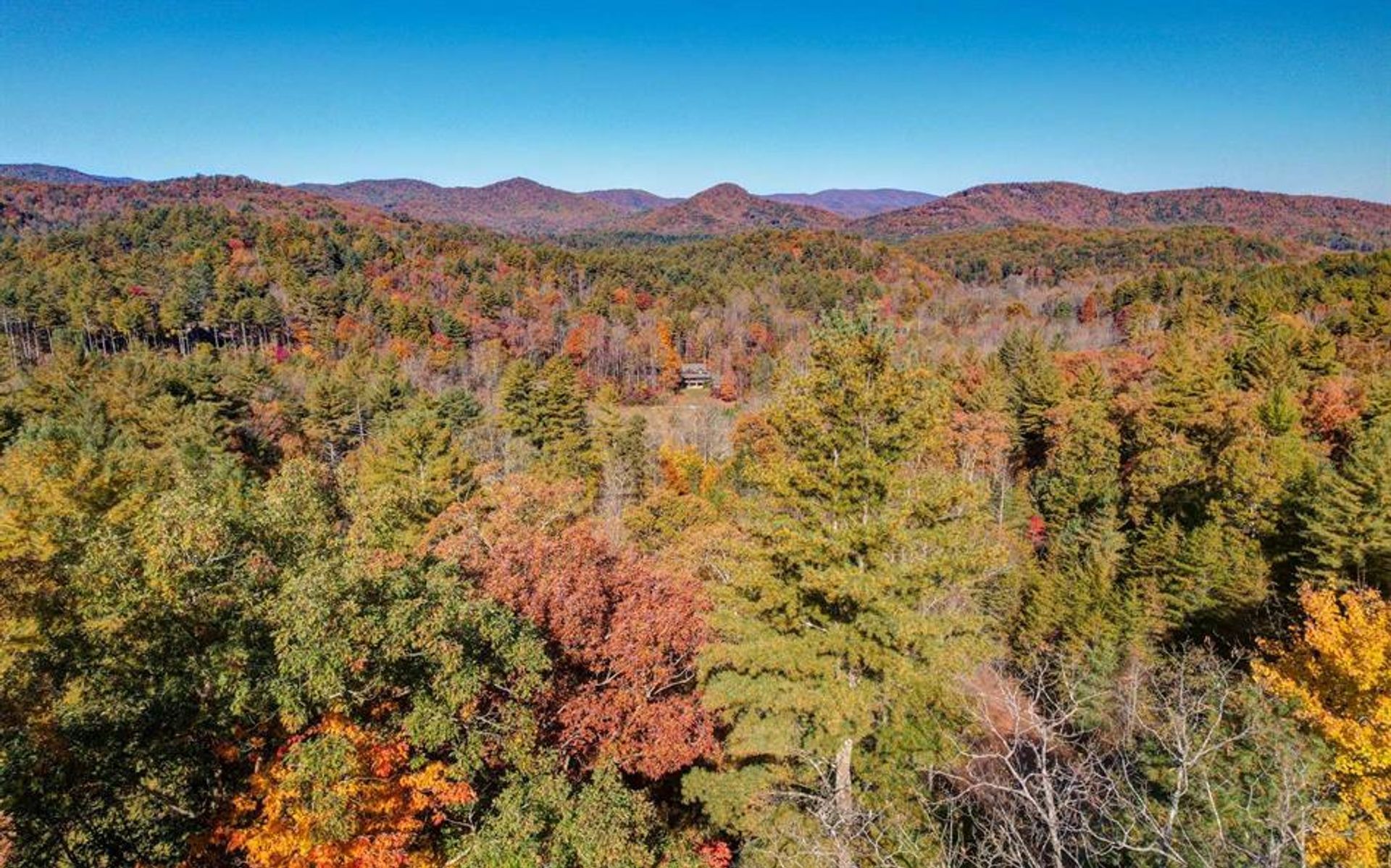 Land im Blue Ridge, Georgia 10198846