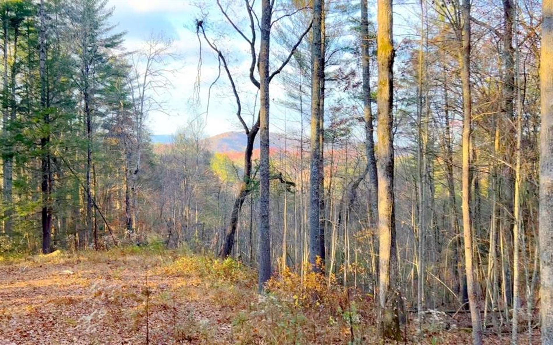 Tanah dalam Sugar Creek, Georgia 10198846