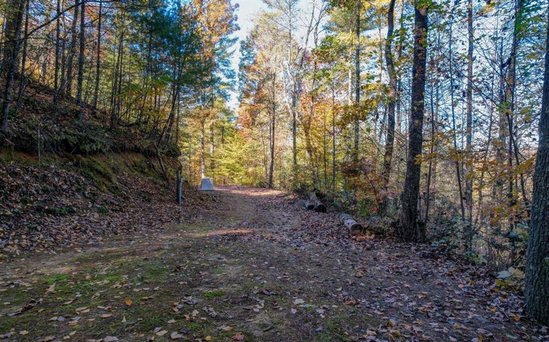 Land im Blue Ridge, Georgia 10198846