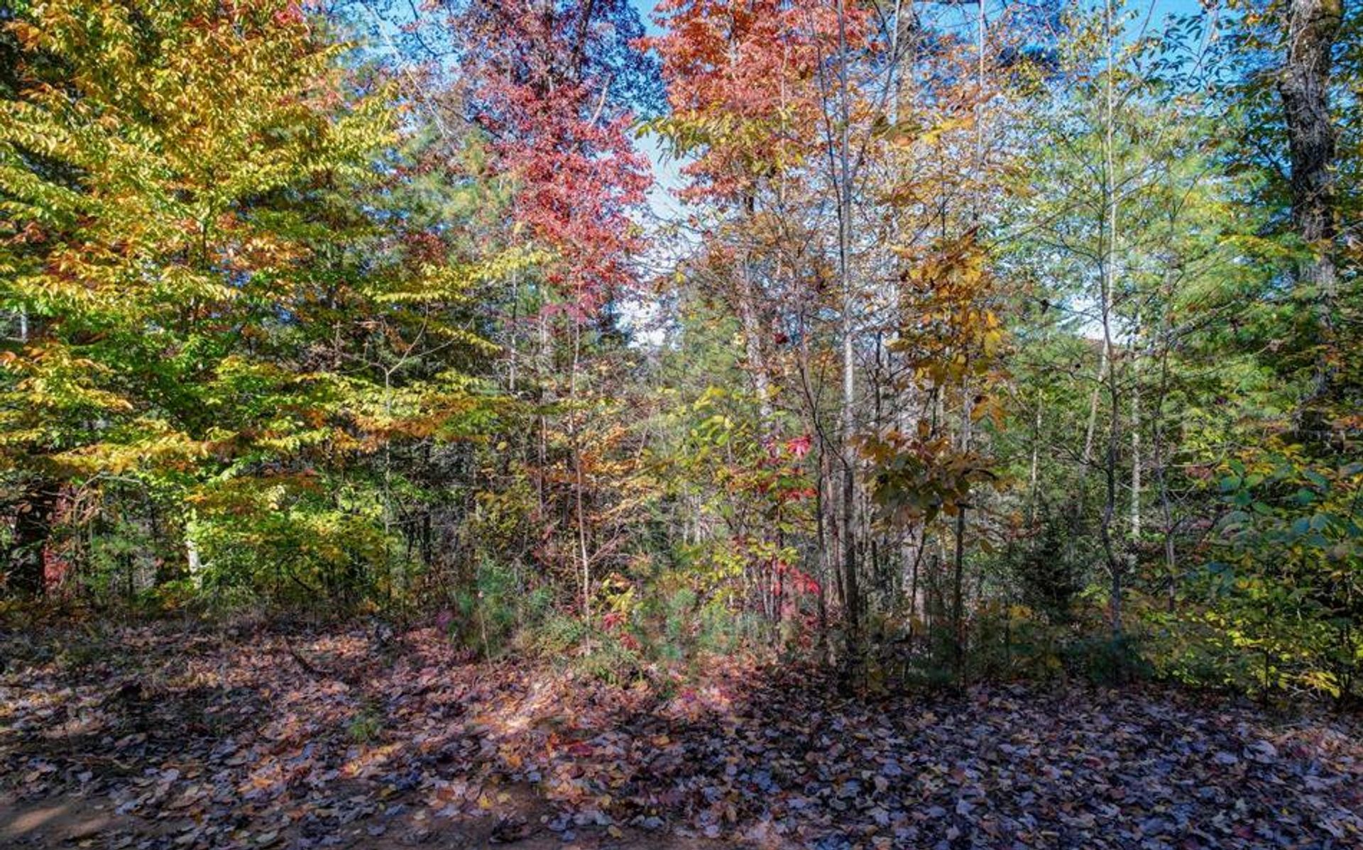 Land im Blue Ridge, Georgia 10198846