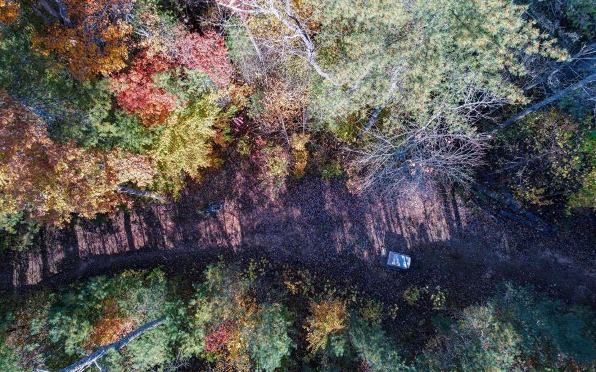 Land im Blue Ridge, Georgia 10198846