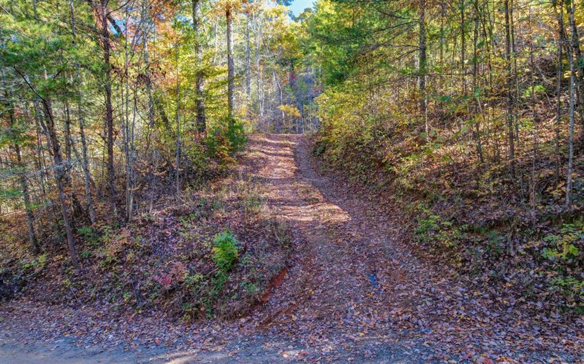 Land im Blue Ridge, Georgia 10198846