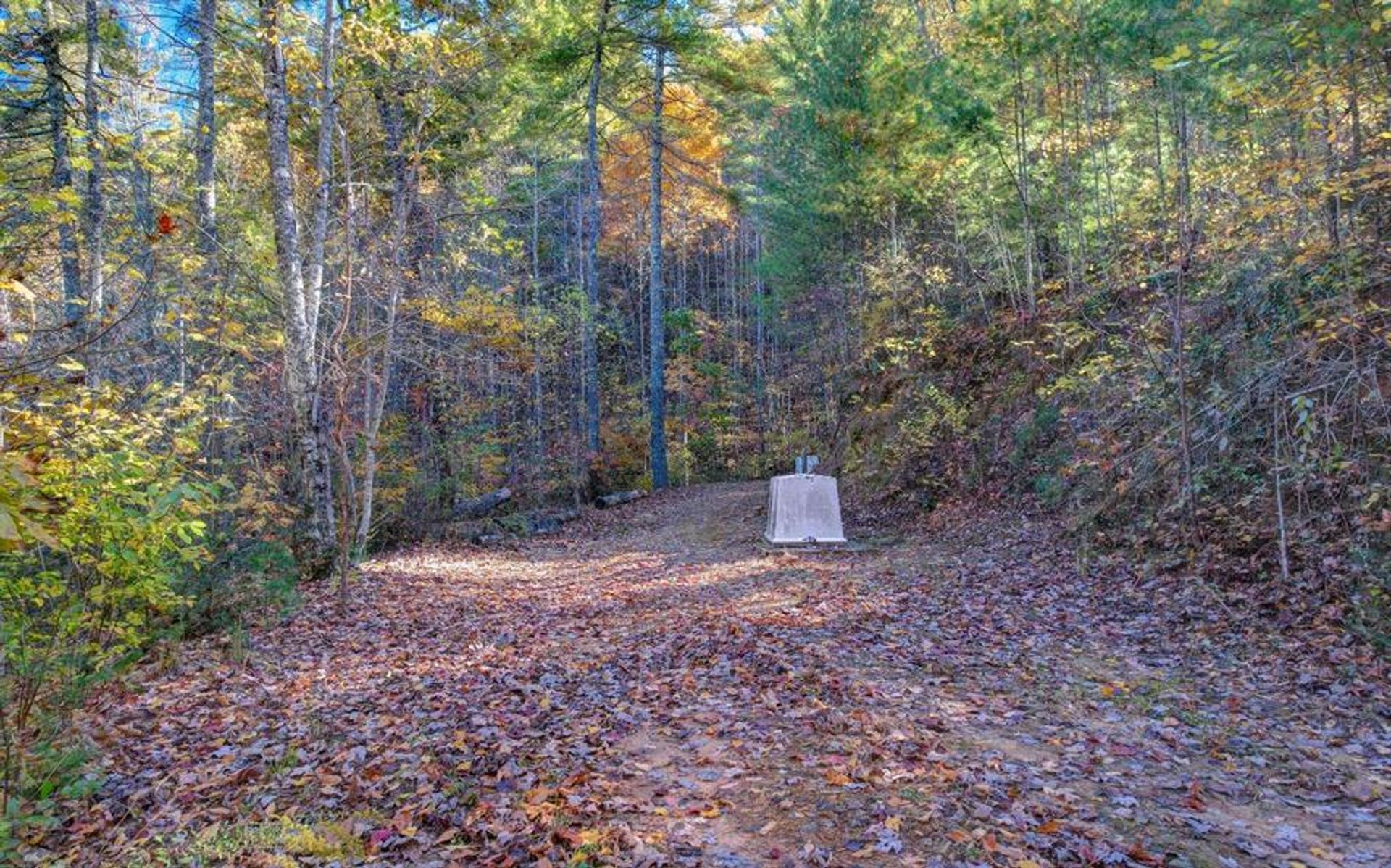 Land im Blue Ridge, Georgia 10198846