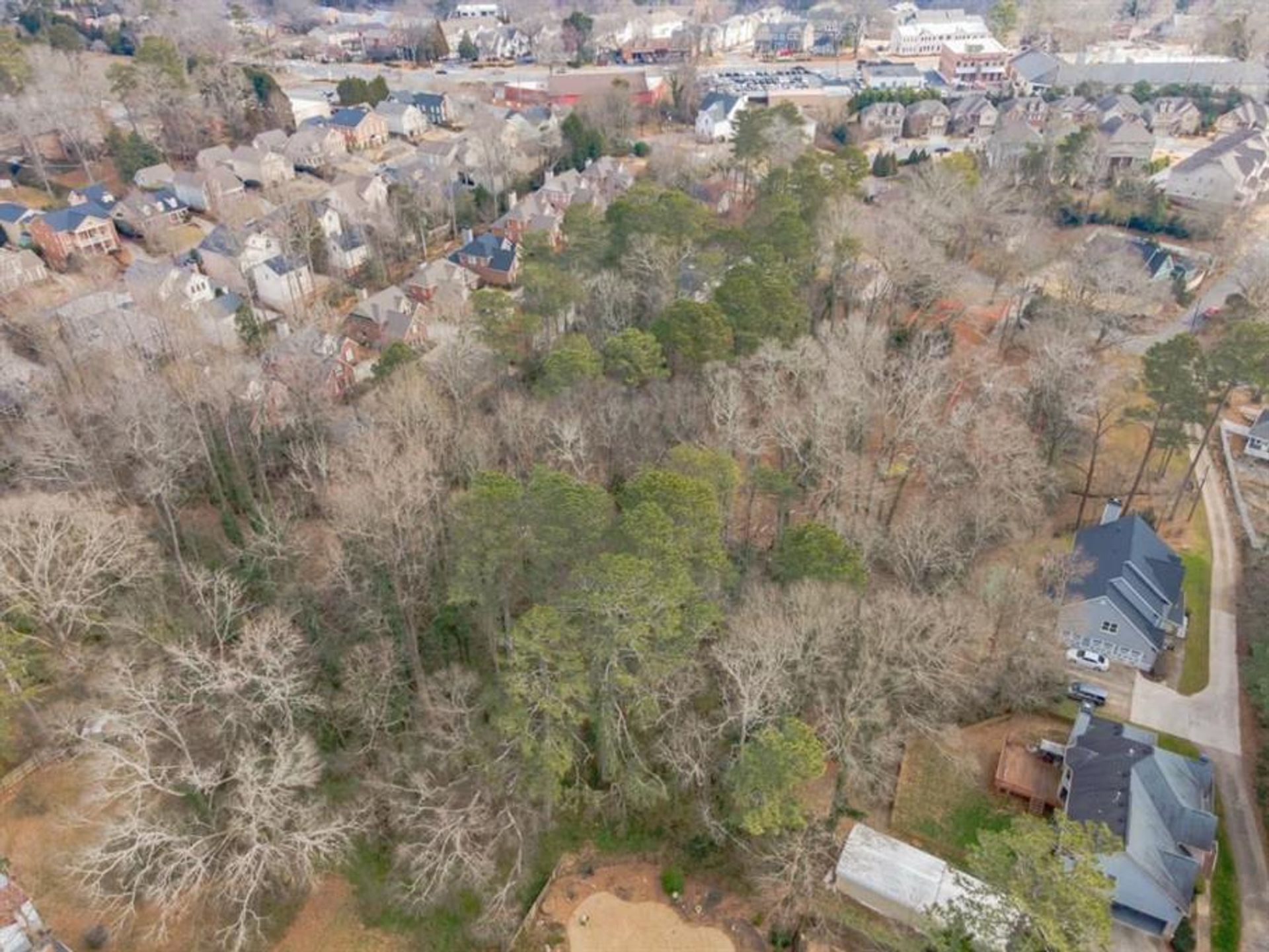 House in Roswell, Georgia 10198889