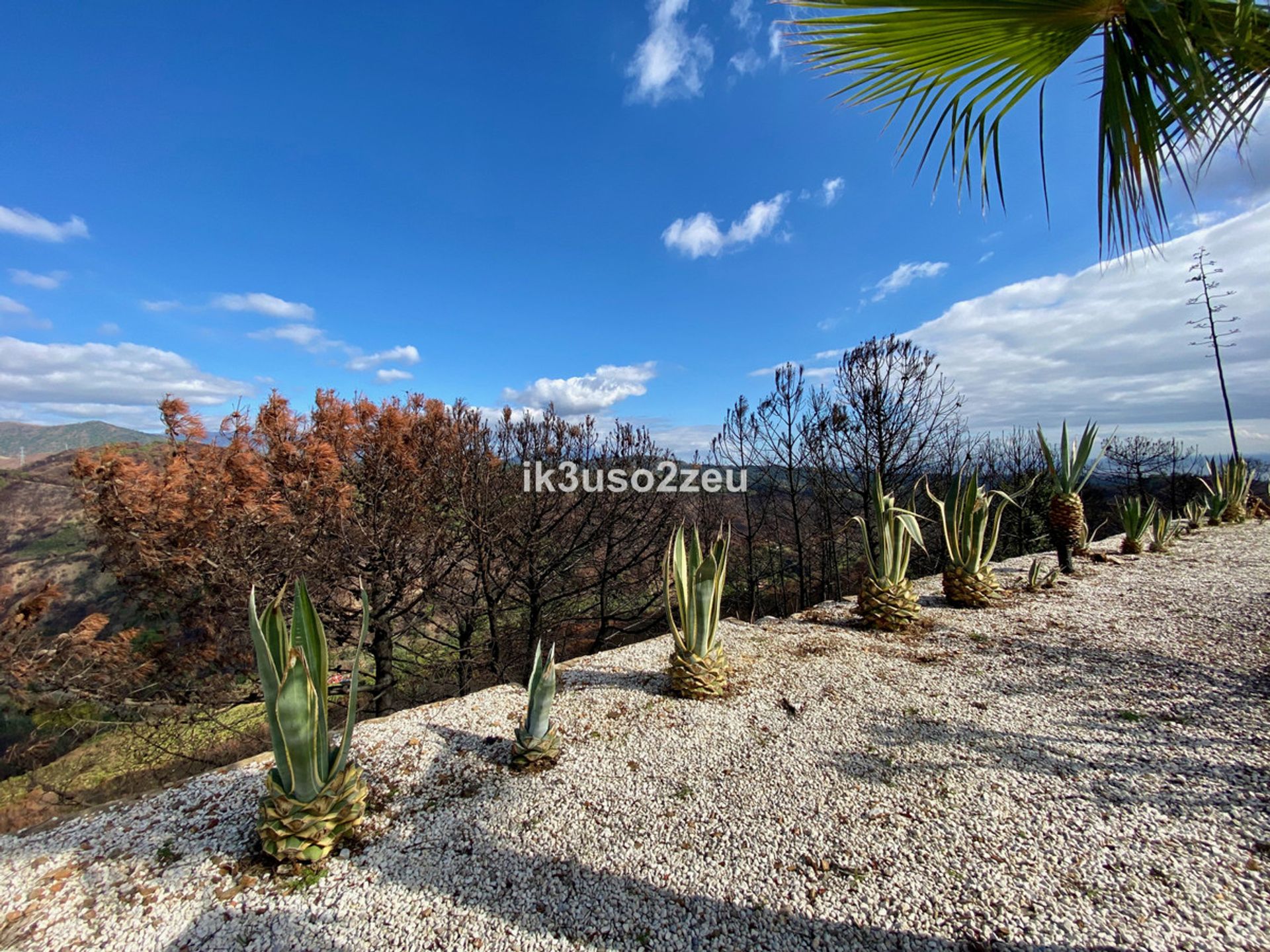 Huis in Estepona, Andalucía 10199164