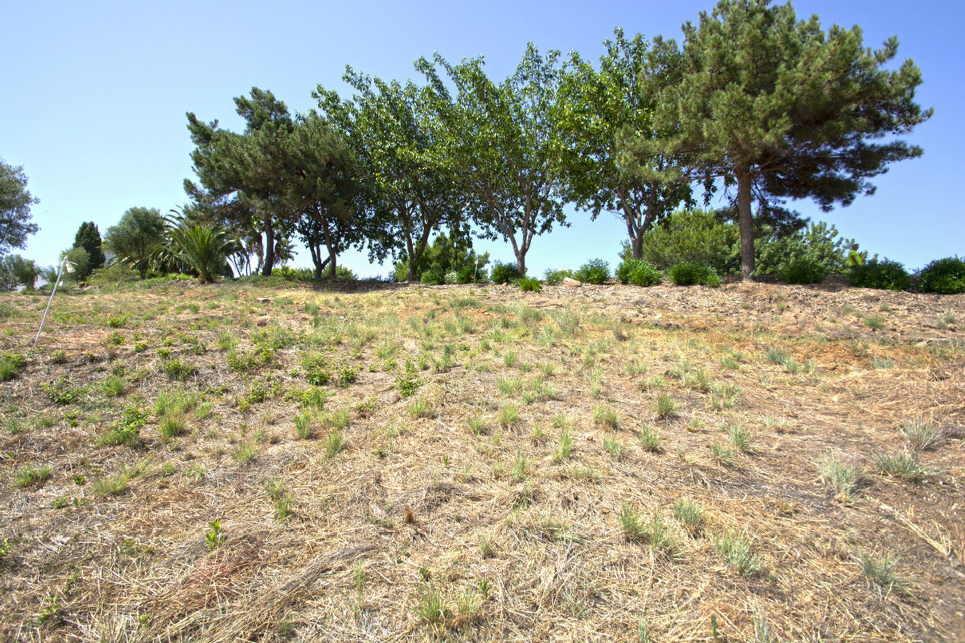 Tanah di Fuengirola, Andalusia 10200063