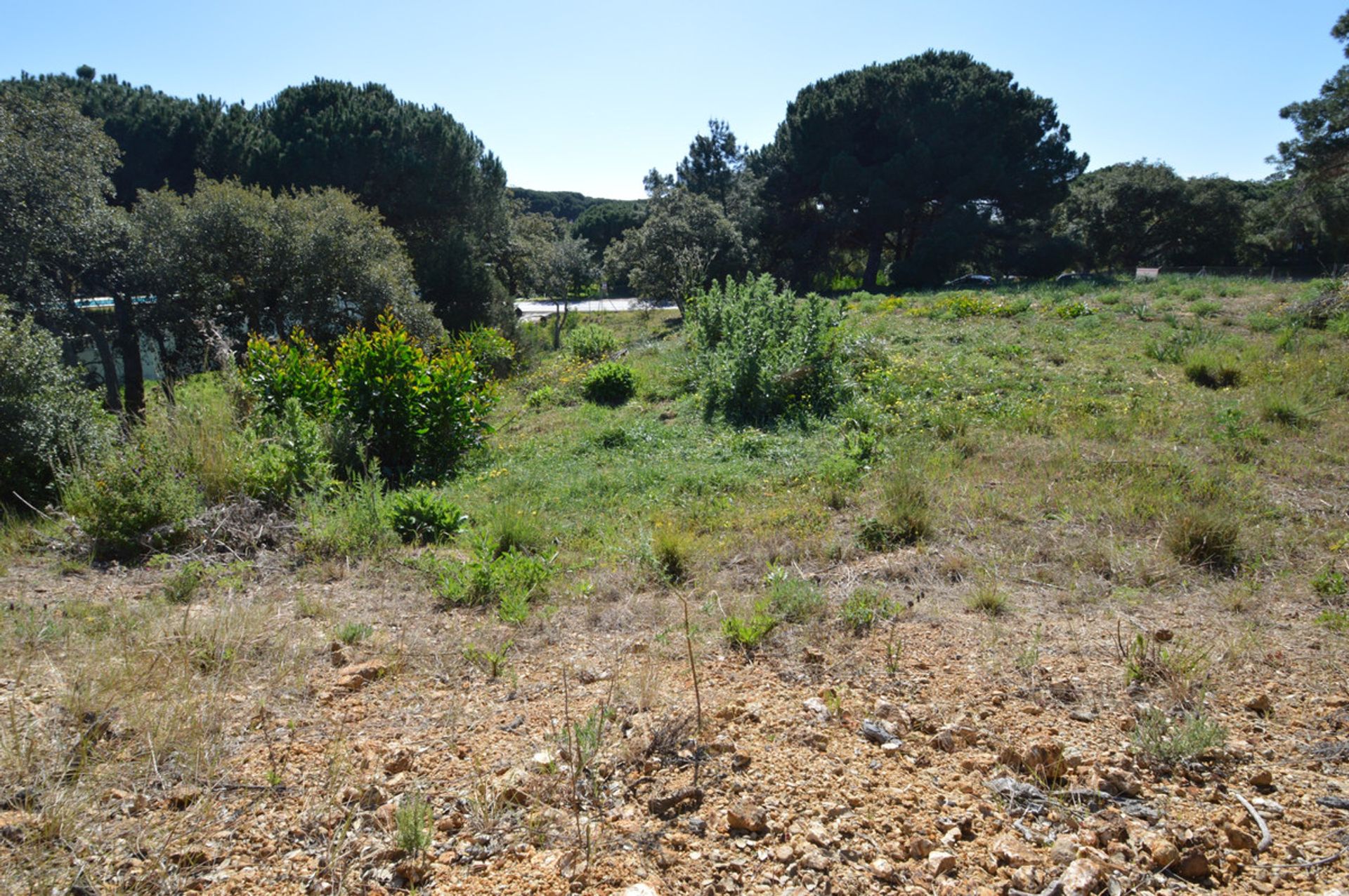 Tierra en marbella, Andalucía 10200196