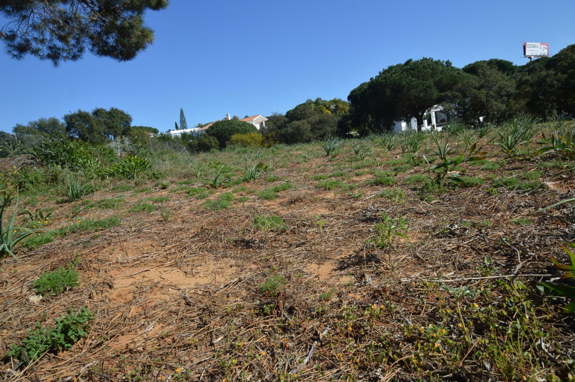 Tanah di Marbella, Andalucía 10200196