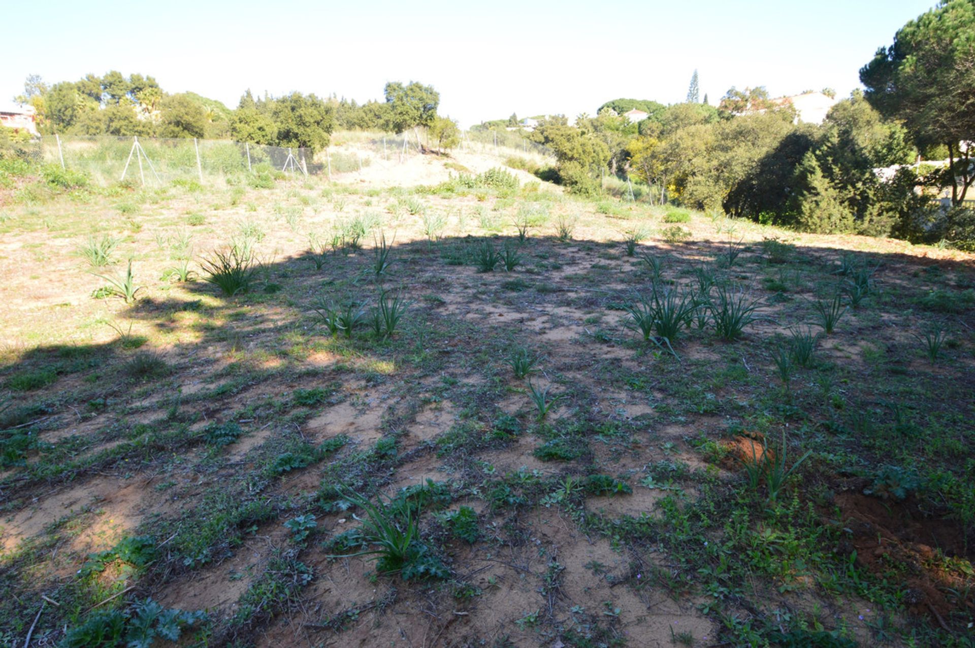 Tanah di Marbella, Andalucía 10200196