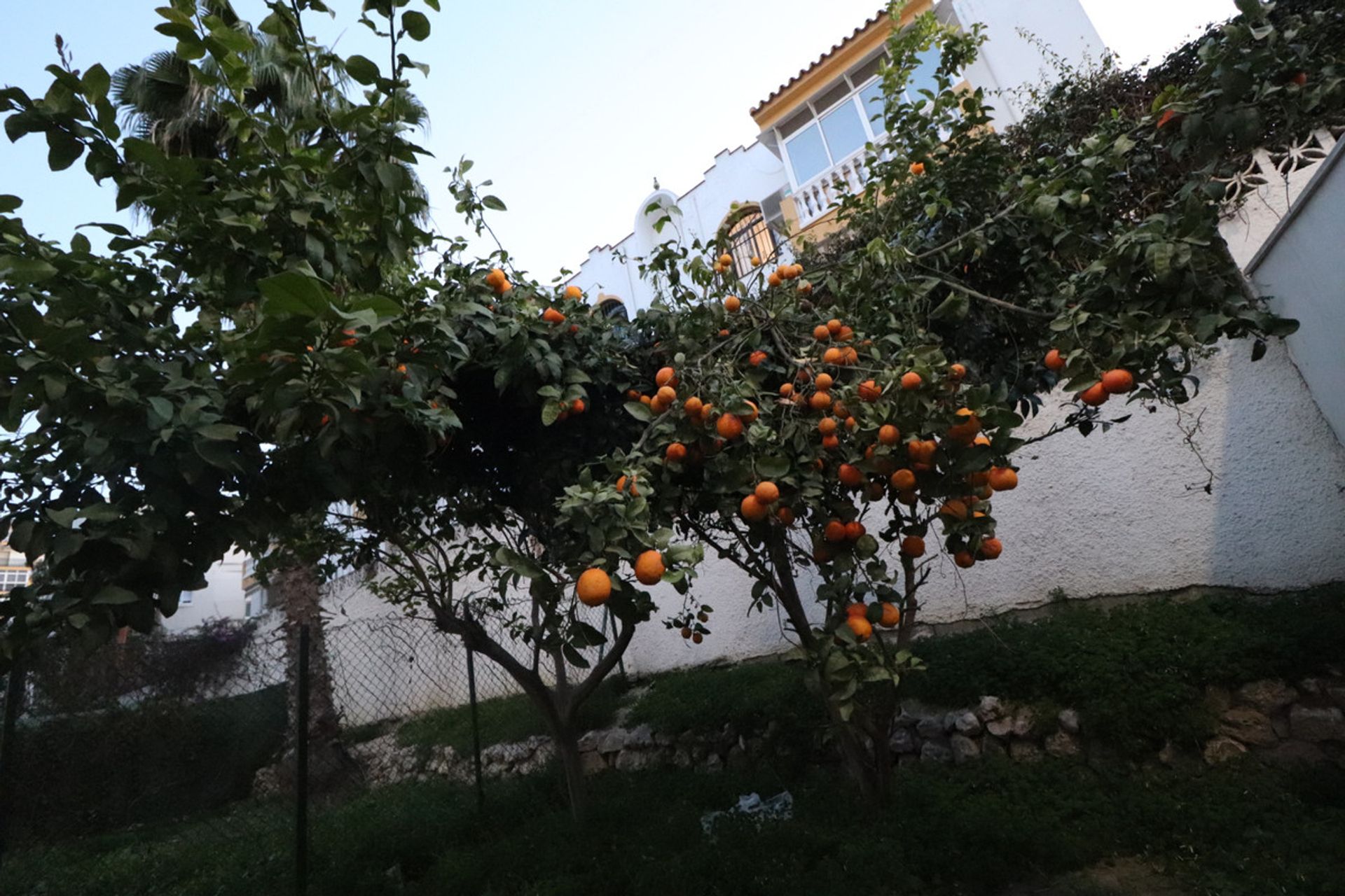 Συγκυριαρχία σε Φουεντζιρόλα, Ανδαλουσία 10200207