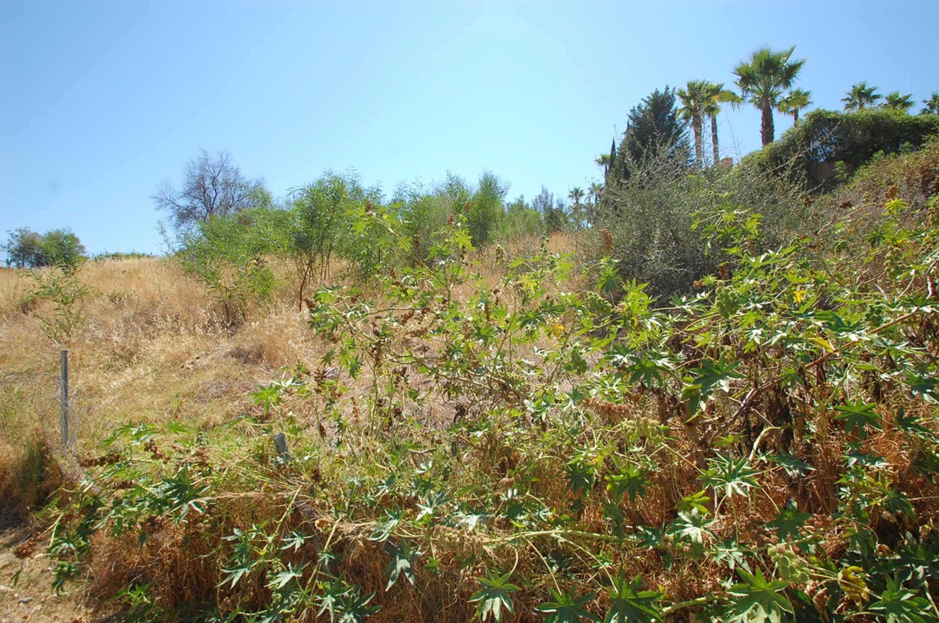 Wylądować w Marbella, Andalusia 10200947