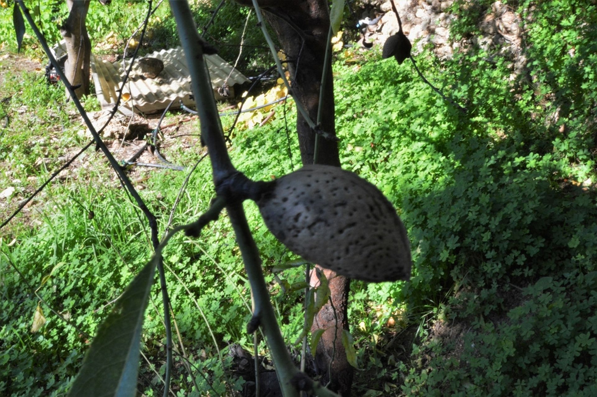 Talo sisään Mijas, Andalucía 10201070