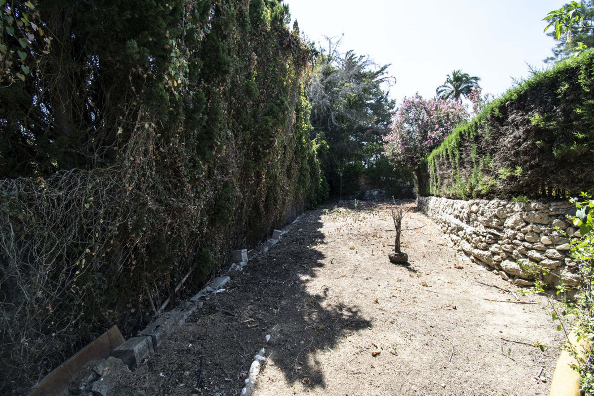 House in Mijas, Andalusia 10201080