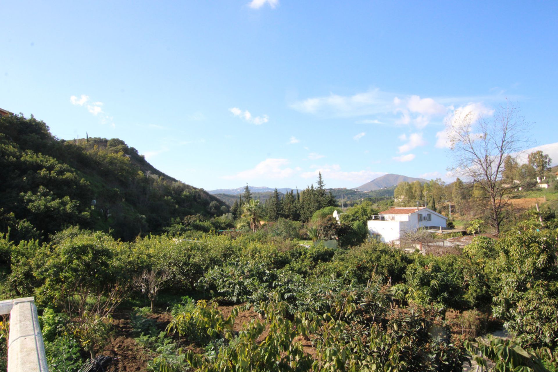 Talo sisään Alhaurin el Grande, Andalusia 10201086