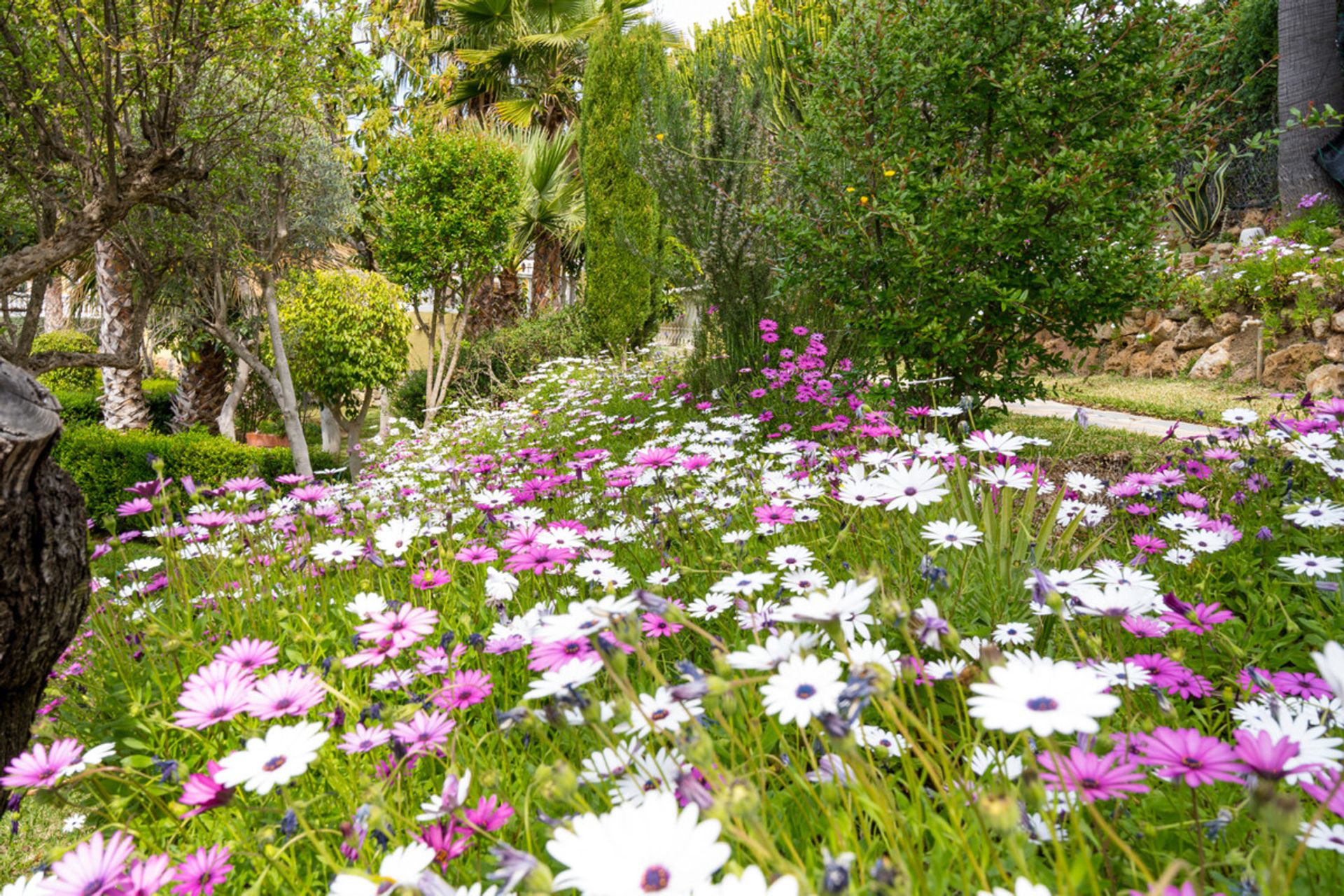 casa no Mijas, Andalucía 10201119