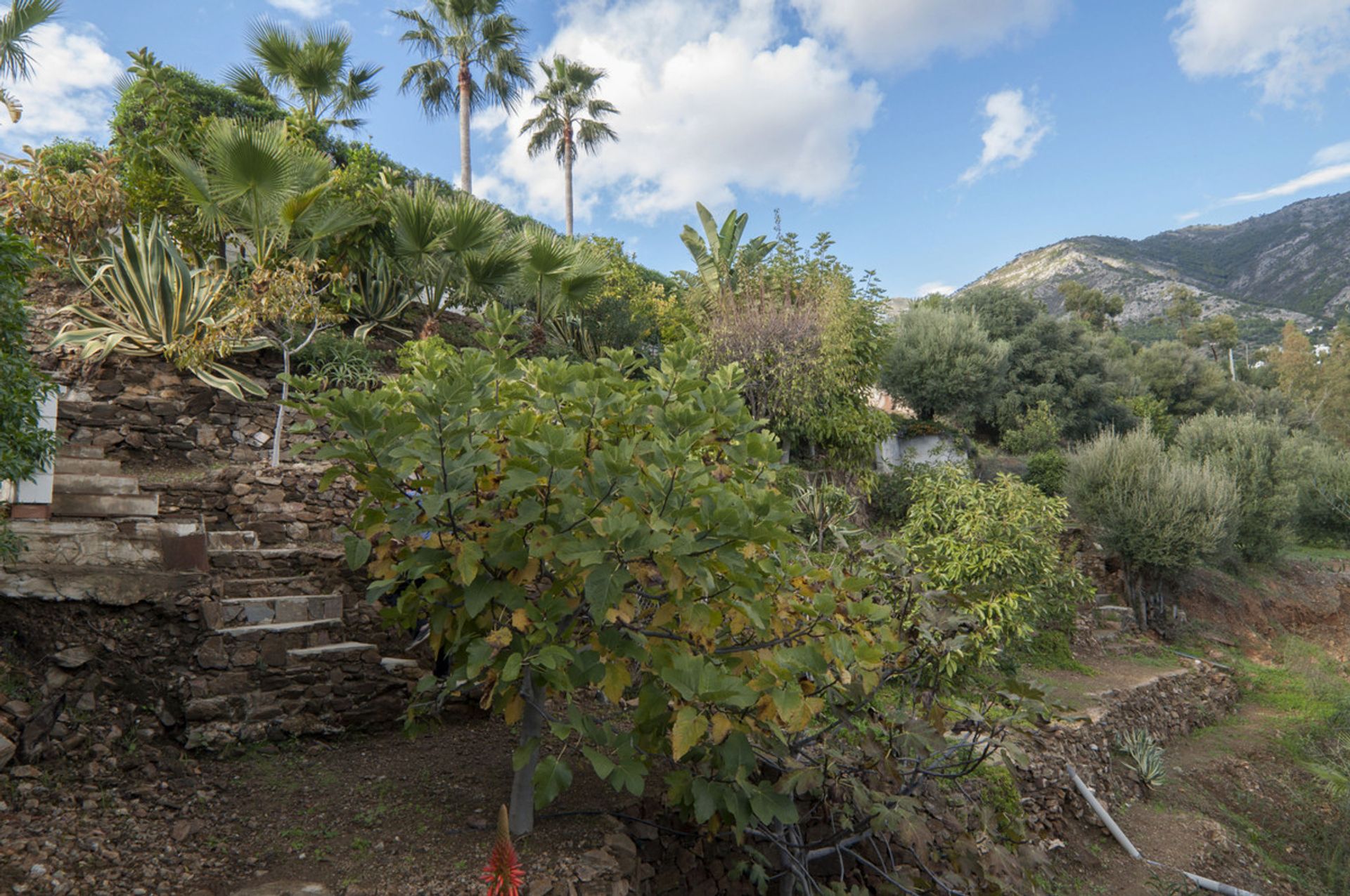 房子 在 Mijas, Andalucía 10201154