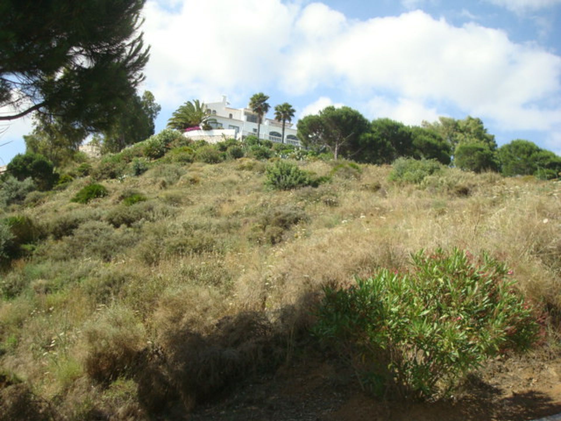 Tanah dalam Mijas, Andalusia 10201164