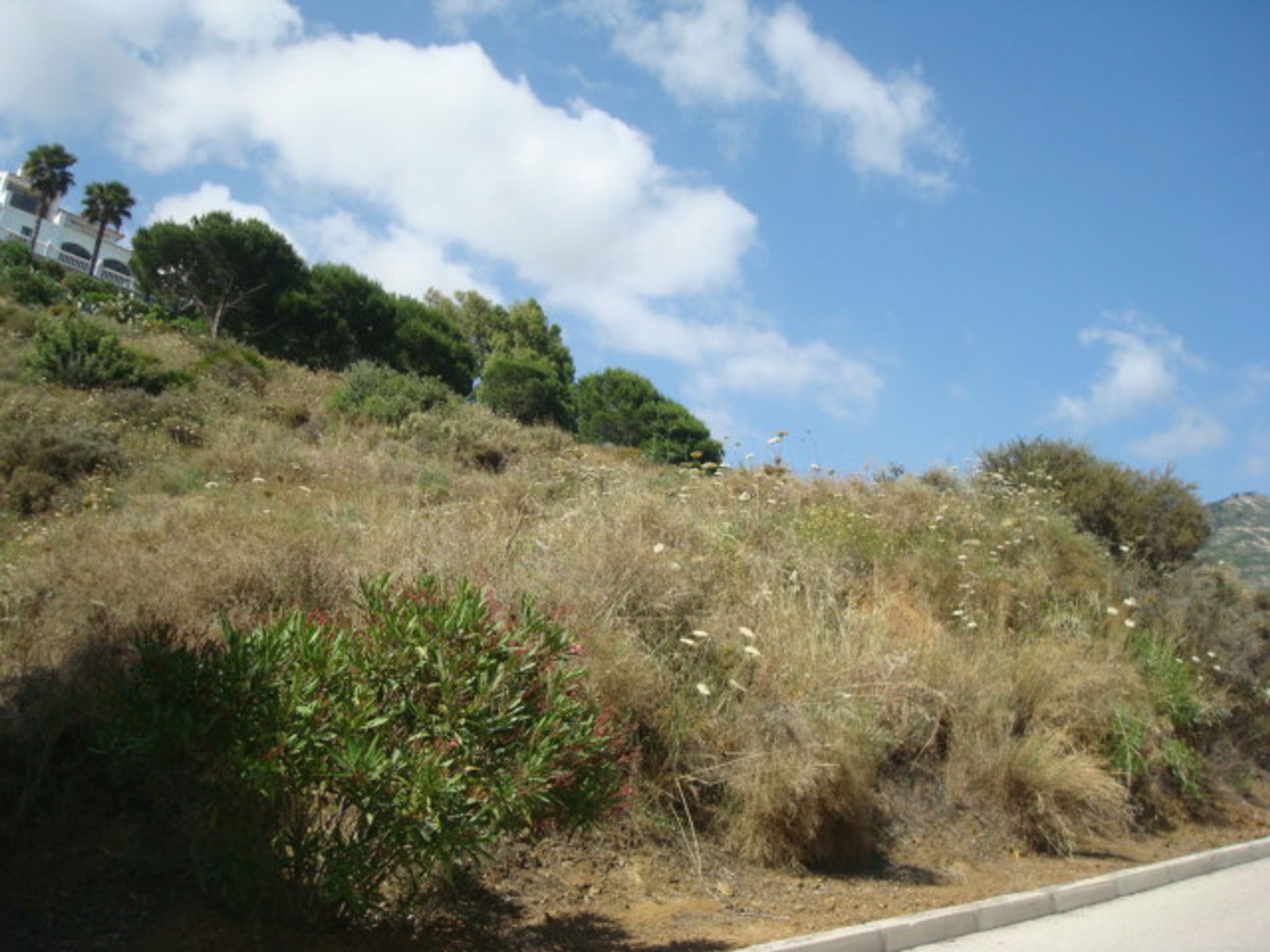 Tanah dalam Mijas, Andalusia 10201164