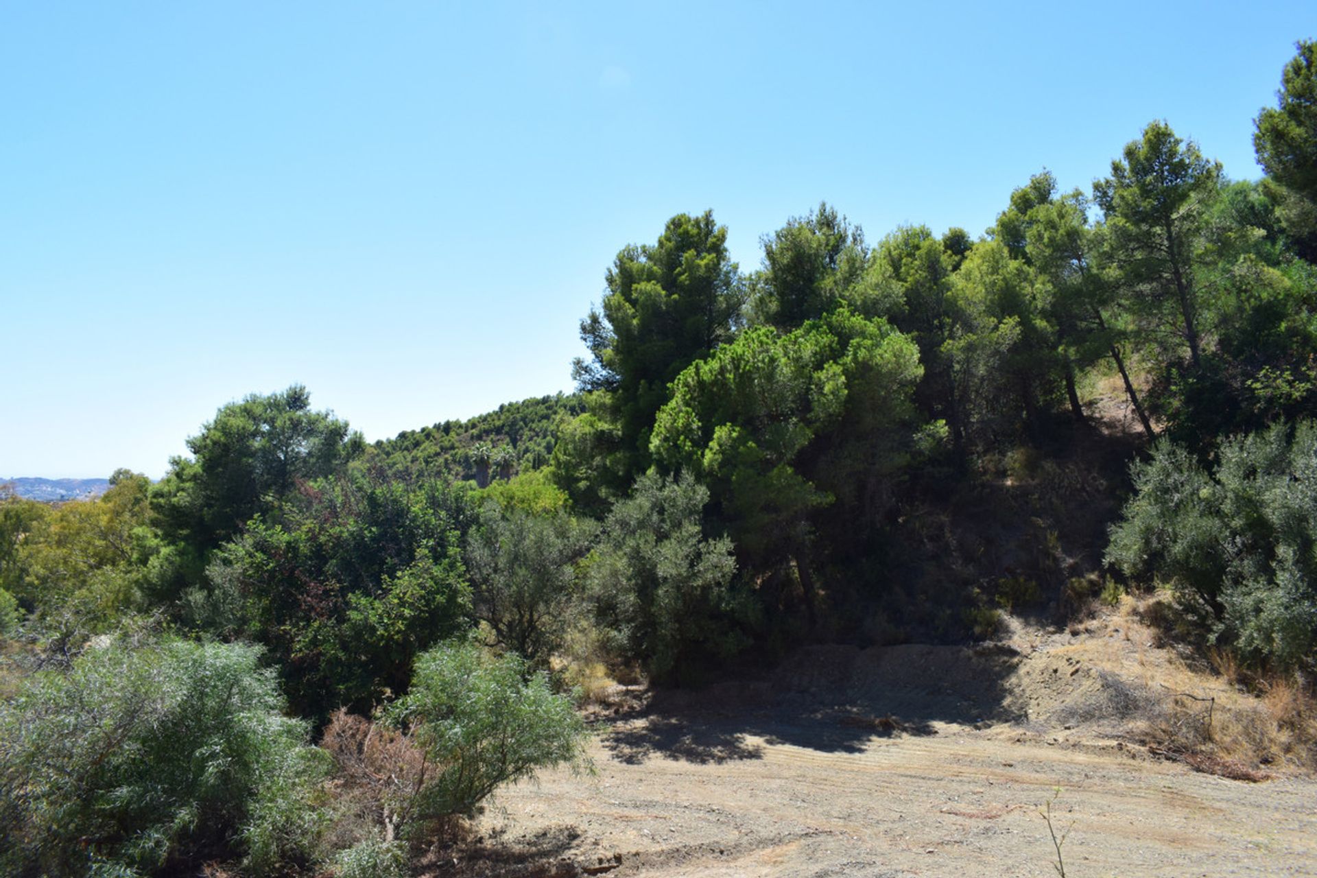 Land i Mijas, Andalusia 10201180