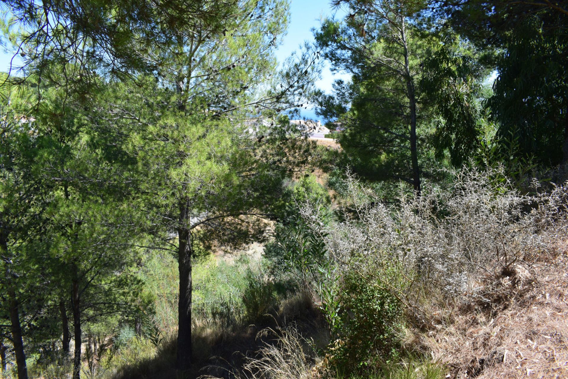 Land i Mijas, Andalusia 10201180