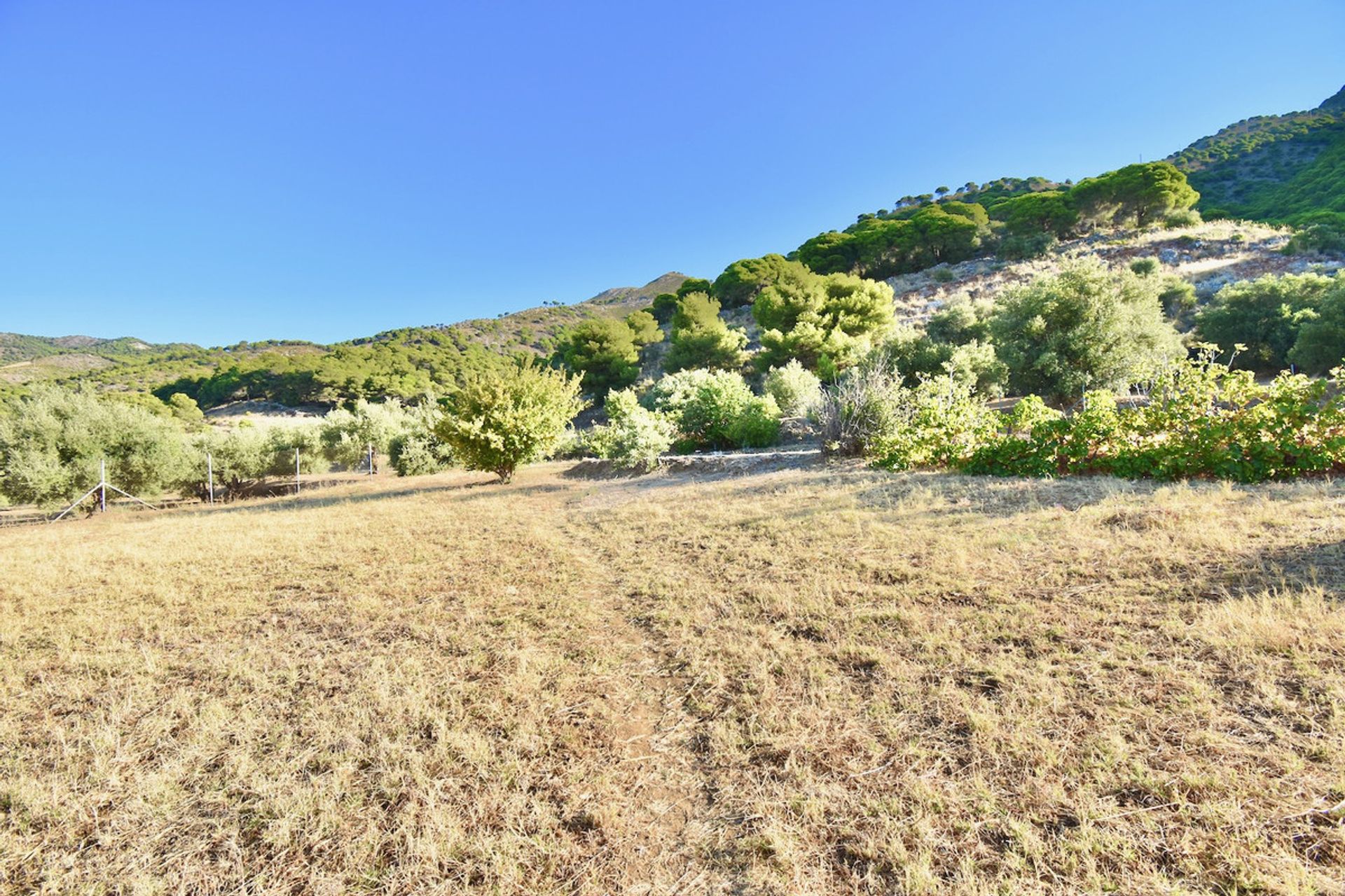 Land in Mijas, Andalucía 10201182