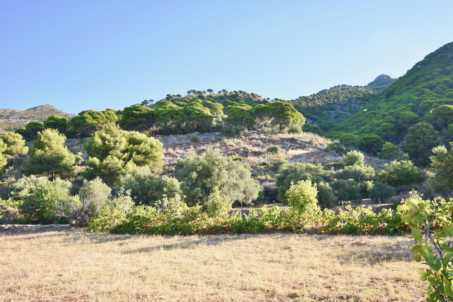 Land in Mijas, Andalucía 10201182