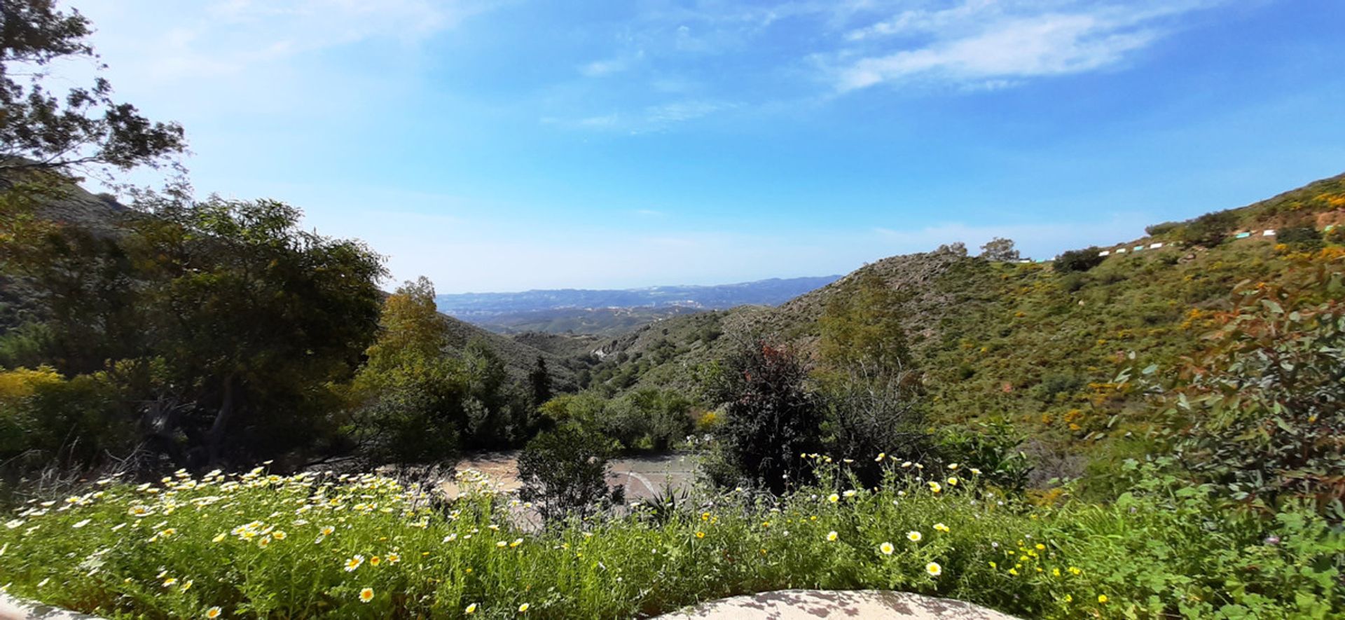 Jord i Mijas, Andalusien 10201185