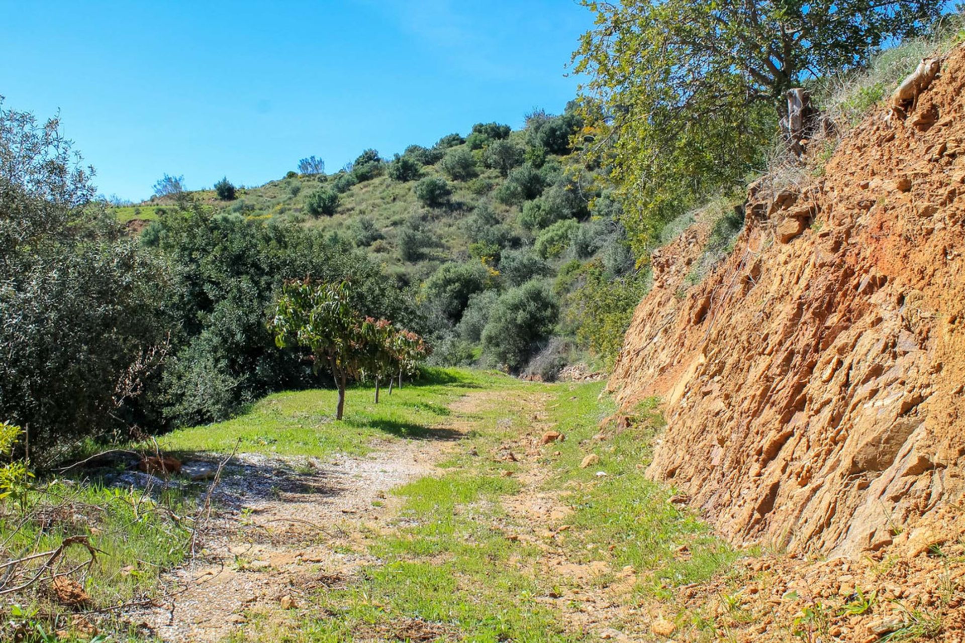 Maa sisään Mijas, Andalusia 10201189