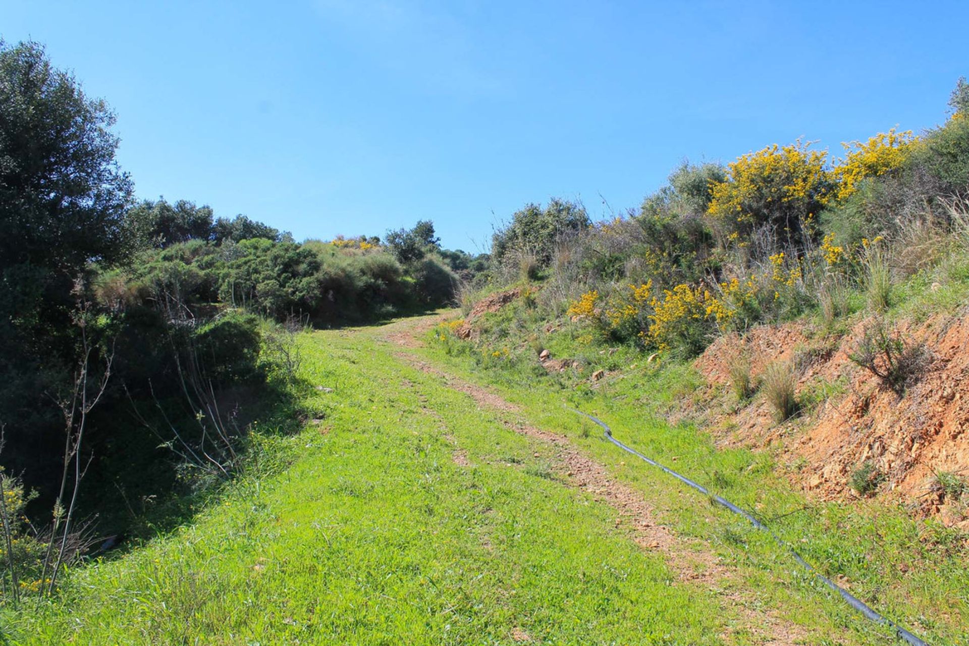 Land in Mijas, Andalusia 10201189