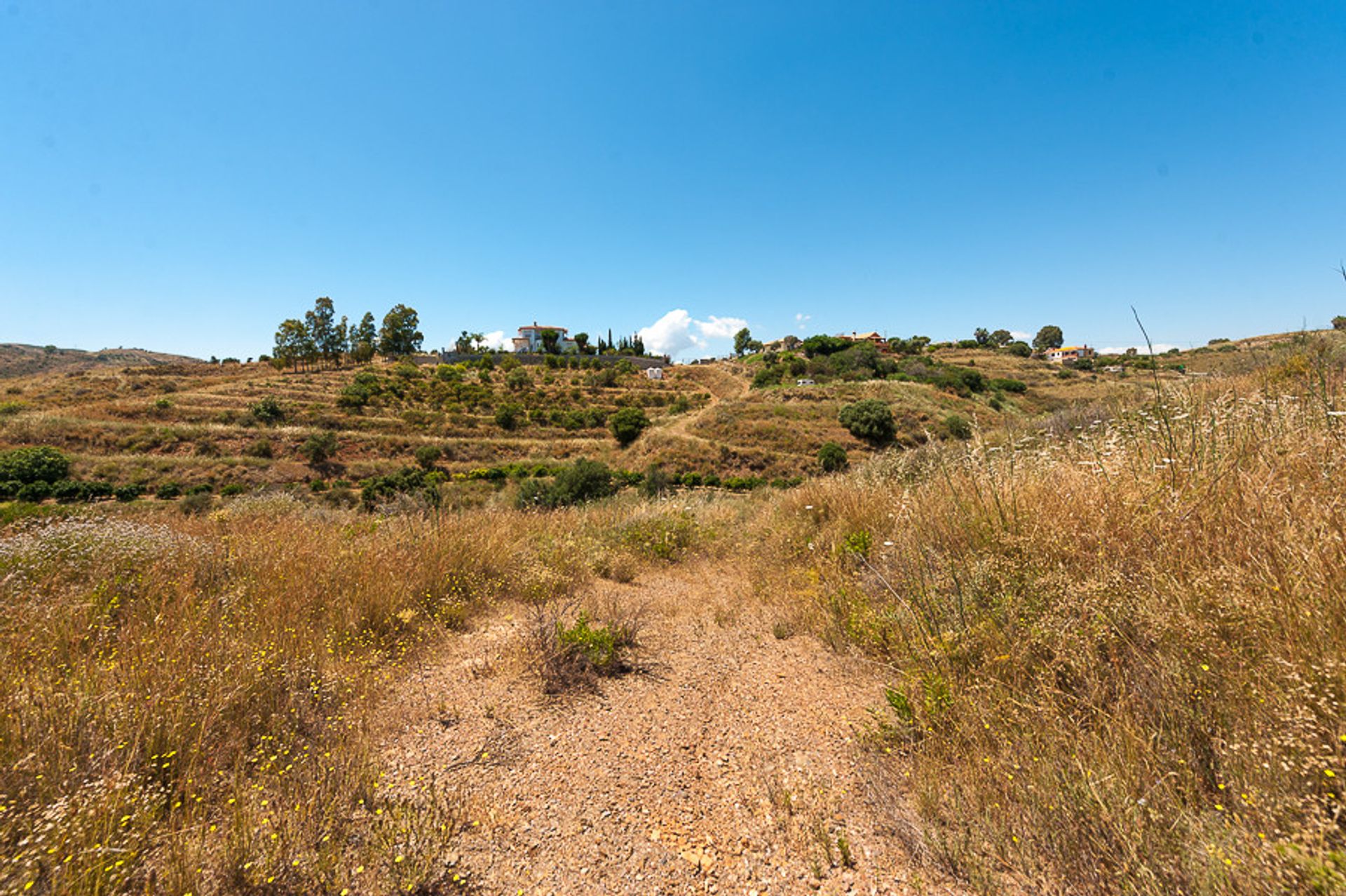 Land in Las Lagunas, Andalusia 10201326