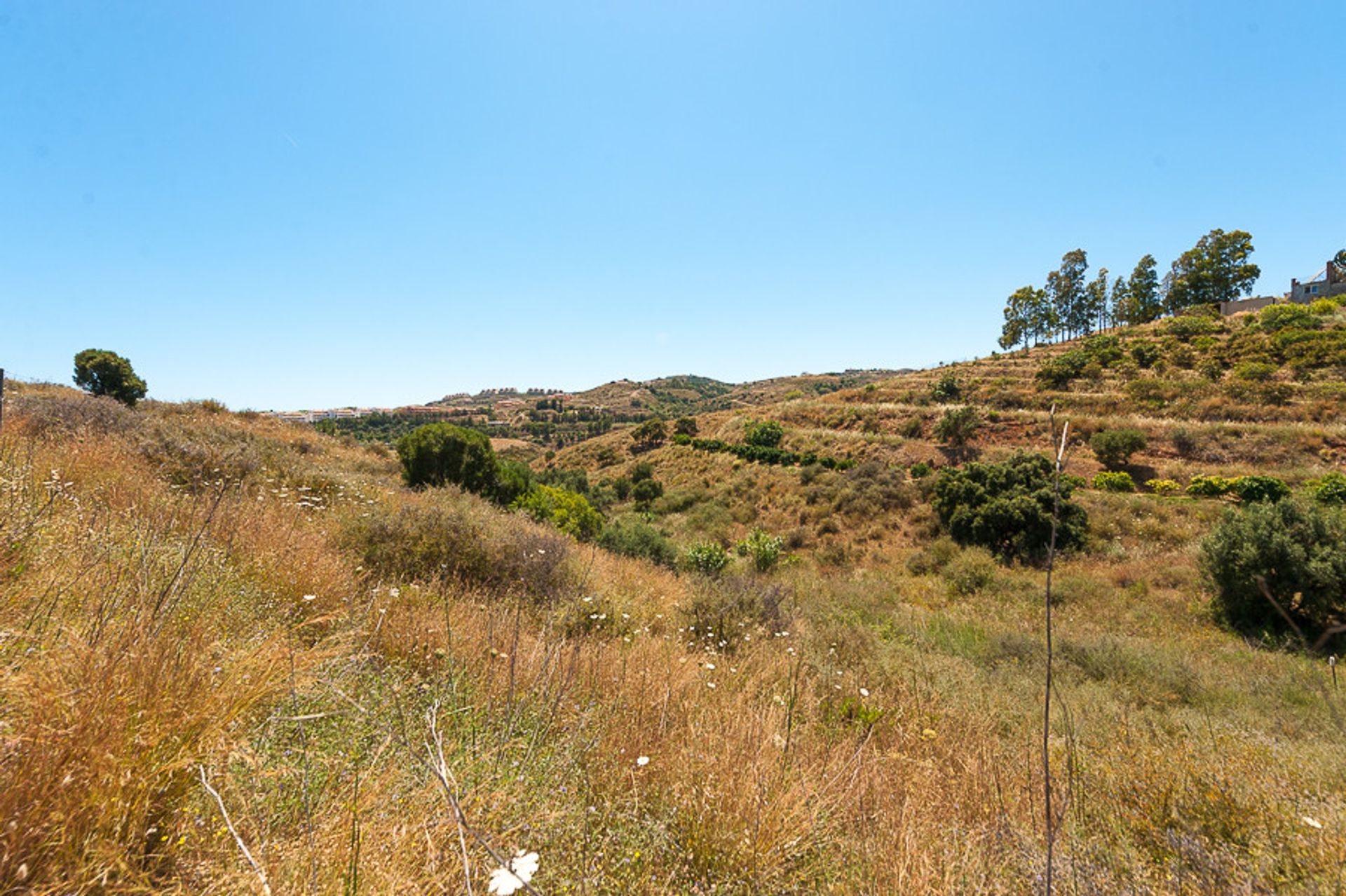 Land in Las Lagunas, Andalusia 10201326